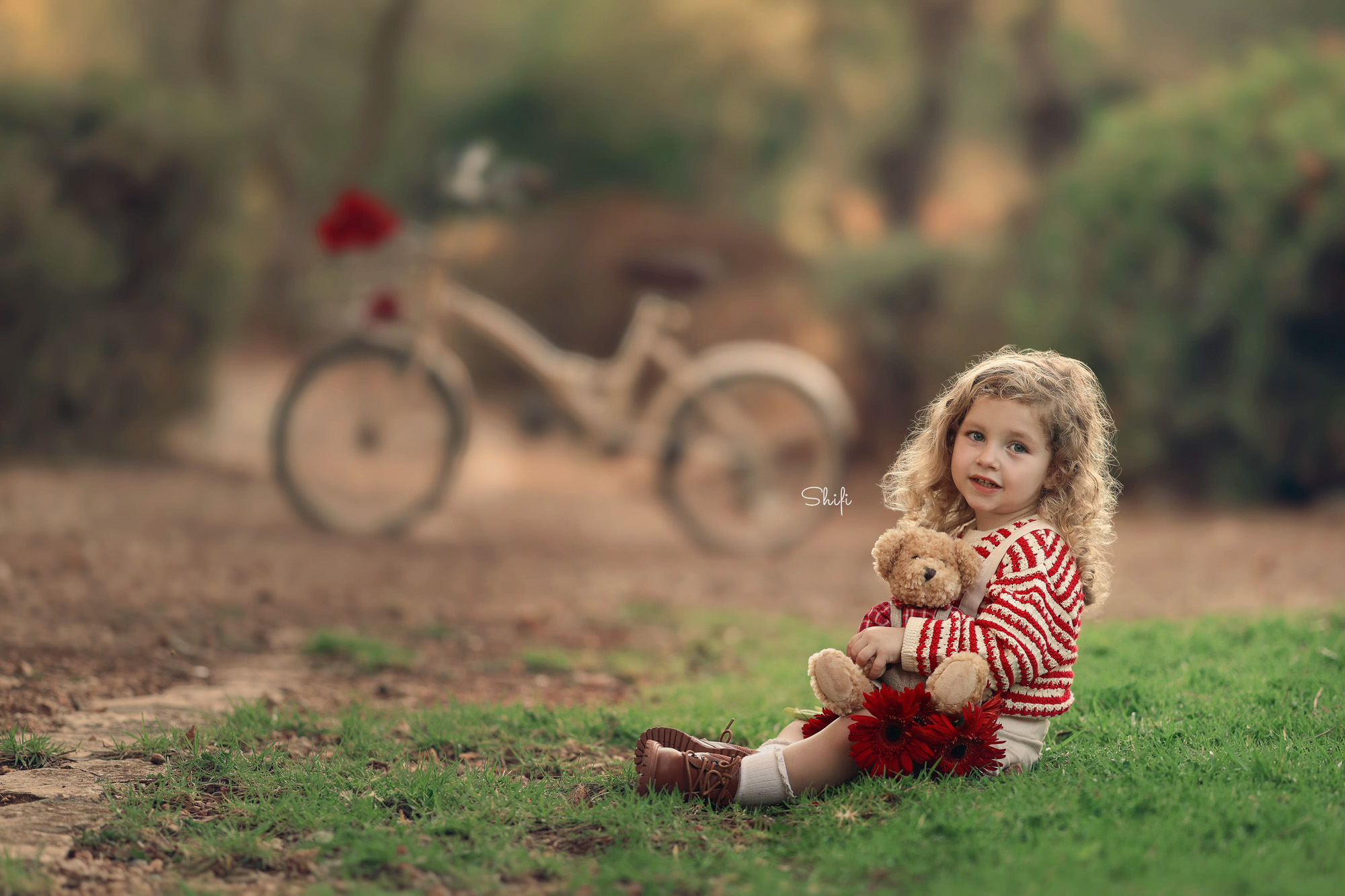 צילום שיפי 0548517049 (2).jpg