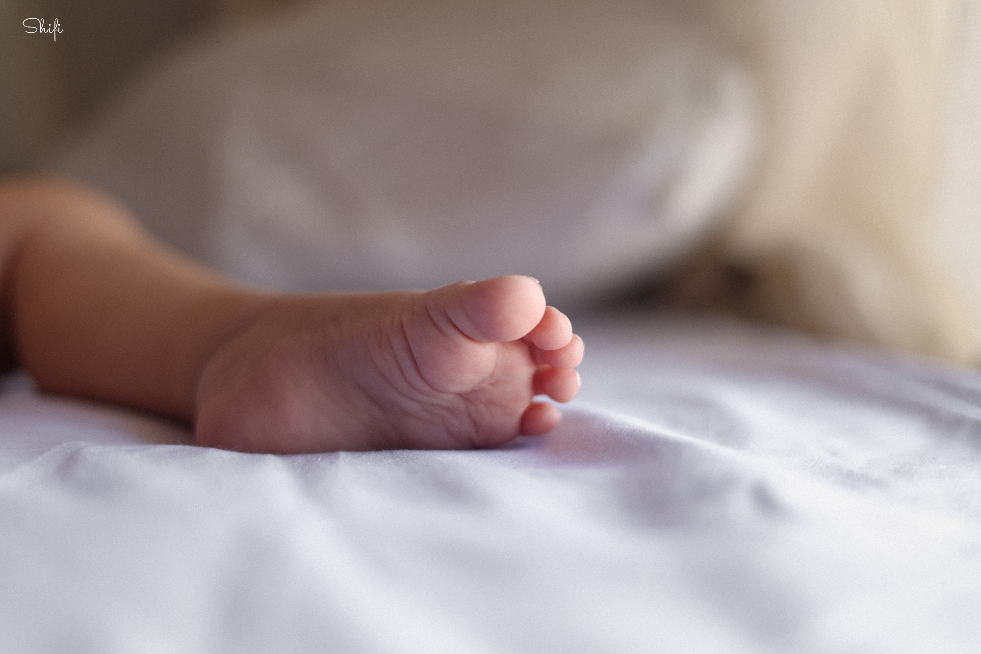 צילום שיפי 0548517049 (2).jpg