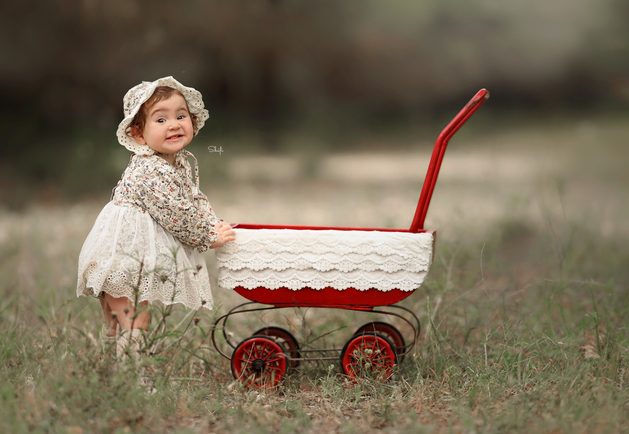 צילום שיפי 0548517049 (20).jpg