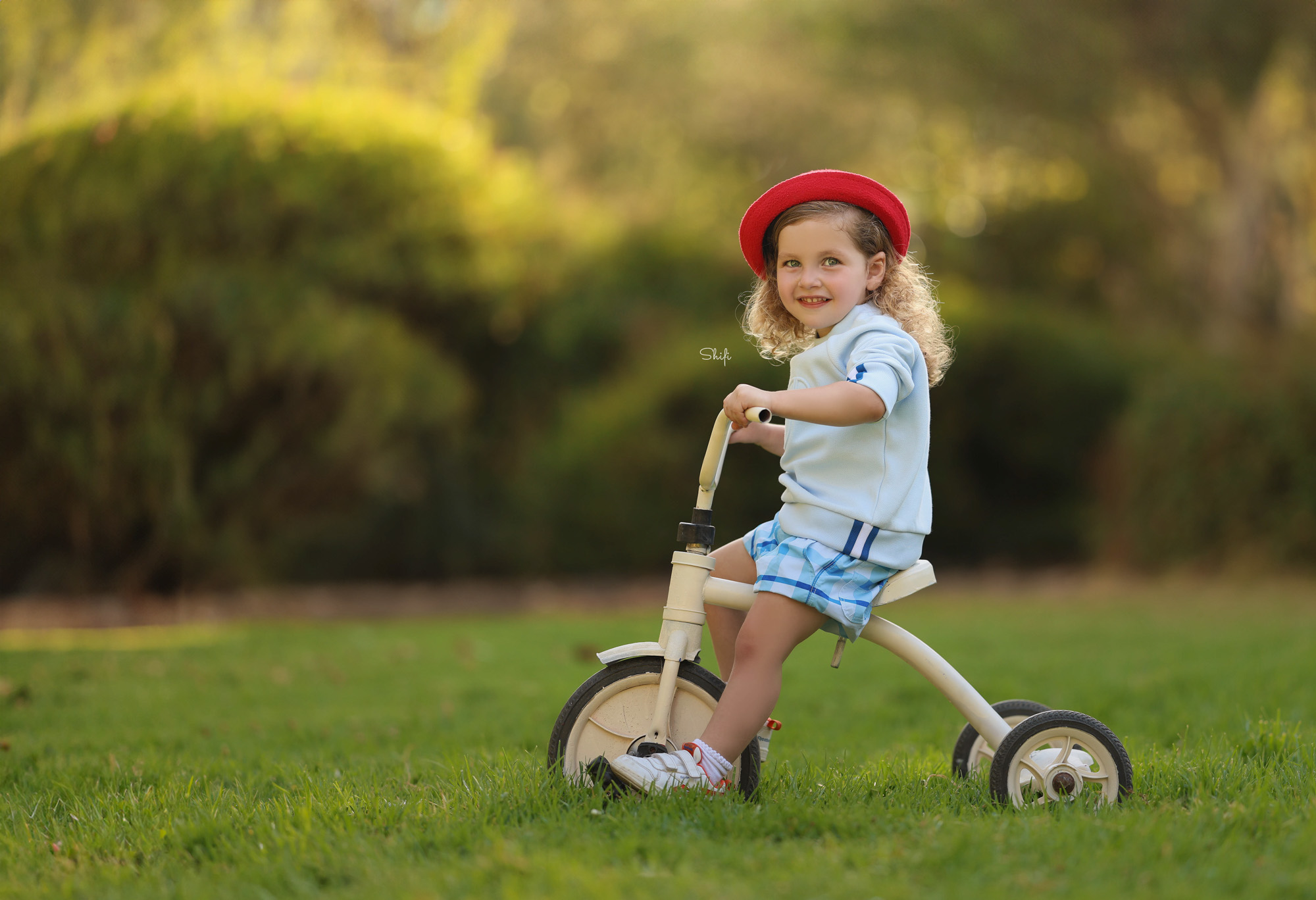 צילום שיפי 0548517049 (20).jpg