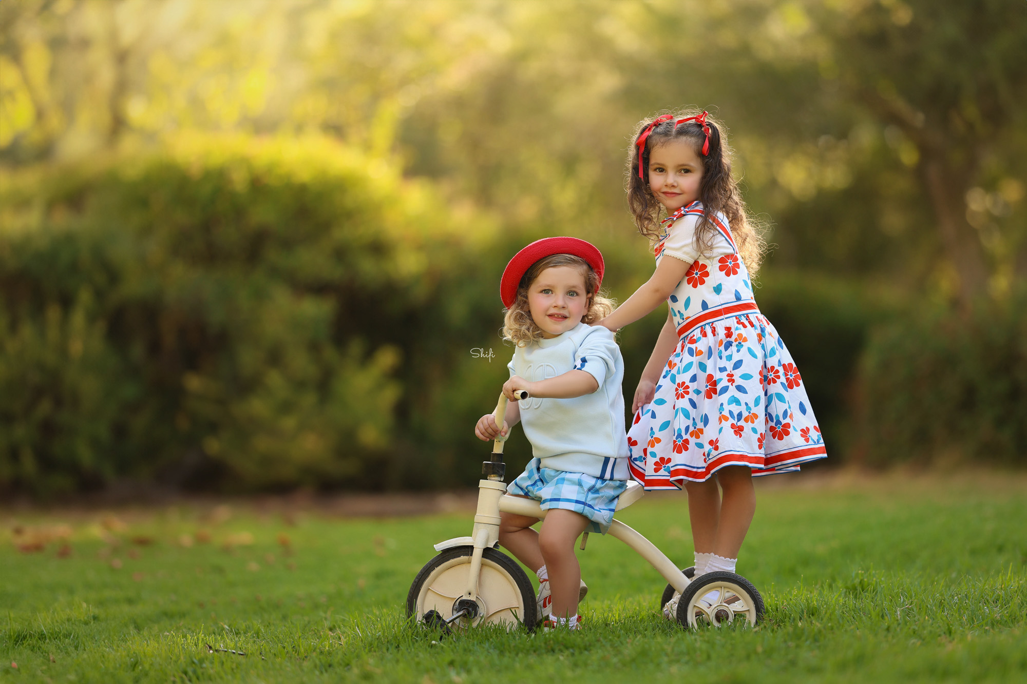 צילום שיפי 0548517049 (21).jpg