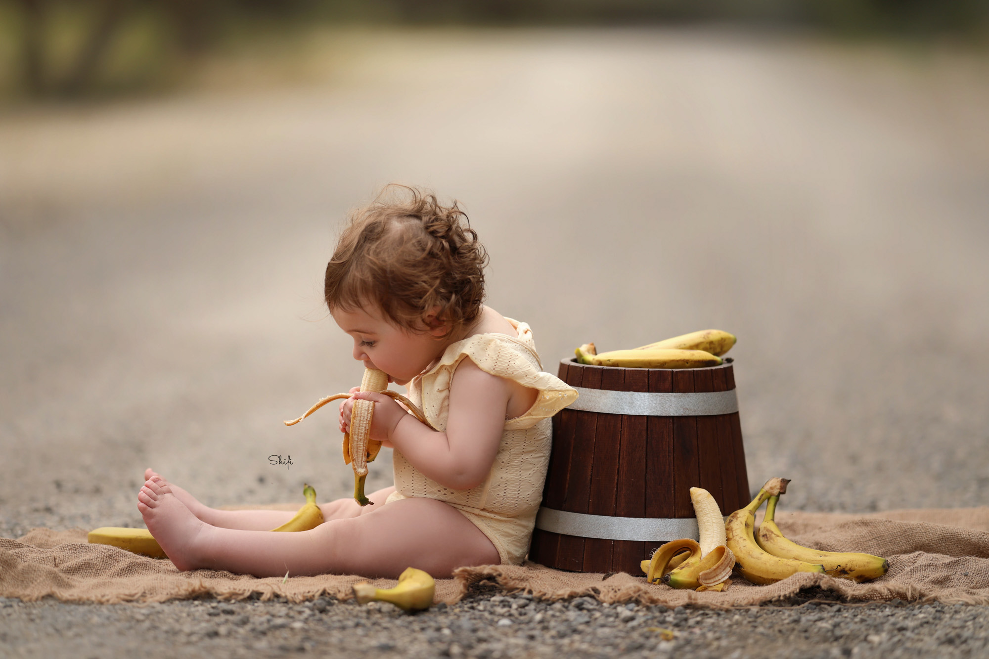 צילום שיפי 0548517049 (23).jpg