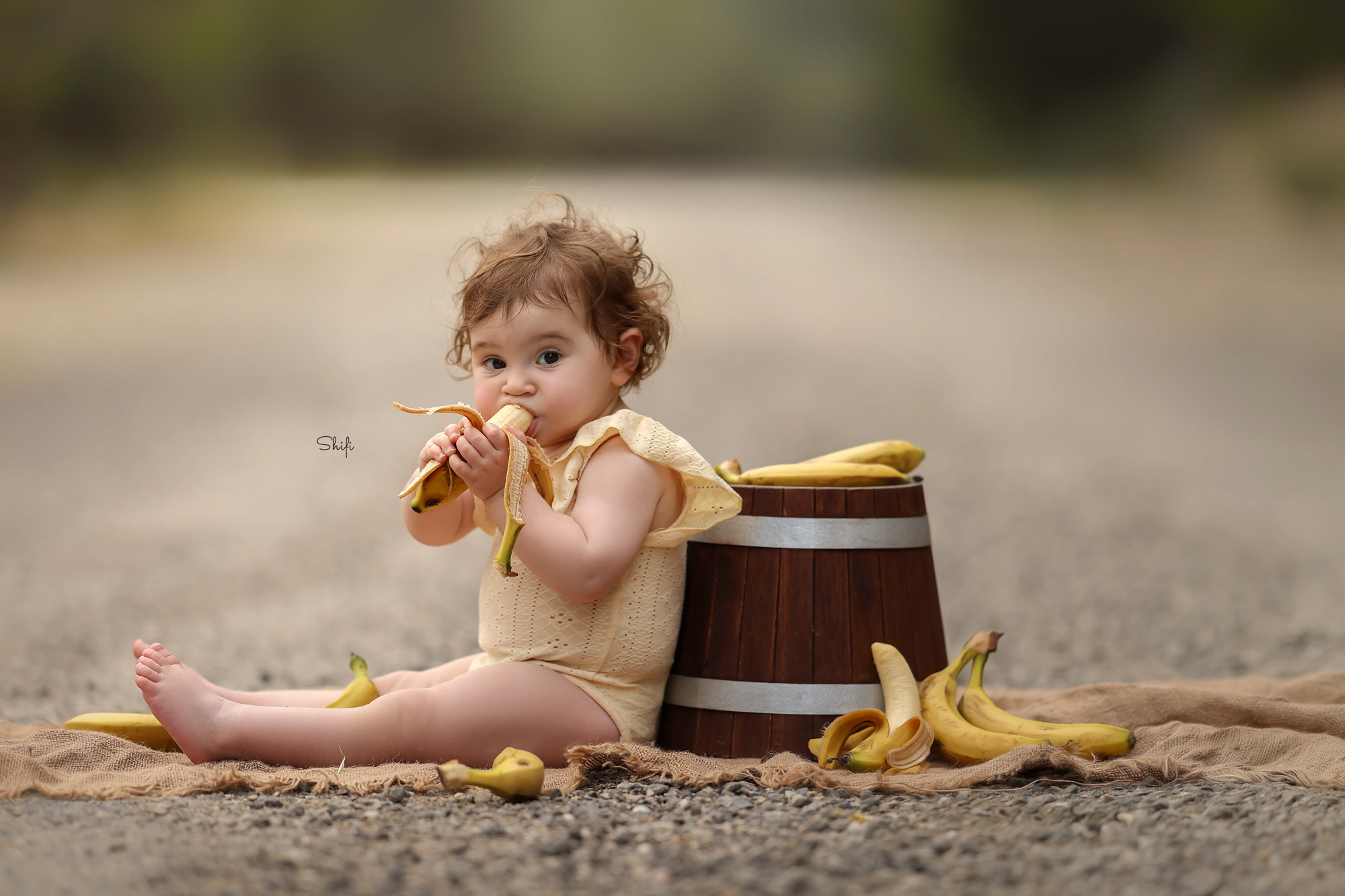 צילום שיפי 0548517049 (24).jpg