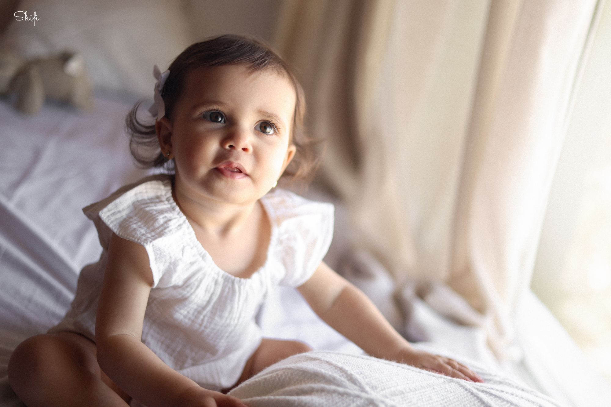 צילום שיפי 0548517049 (24).jpg