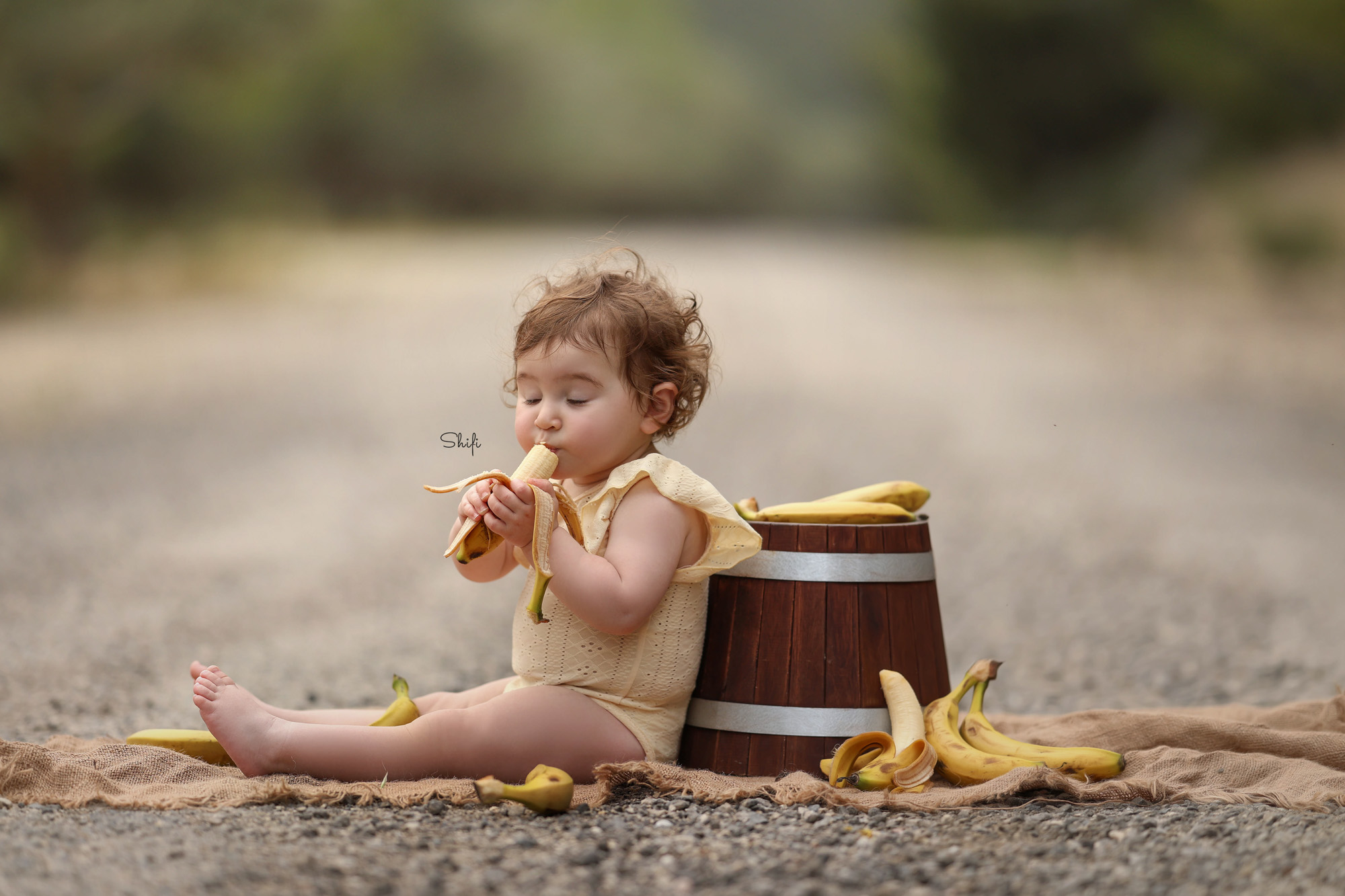 צילום שיפי 0548517049 (25).jpg