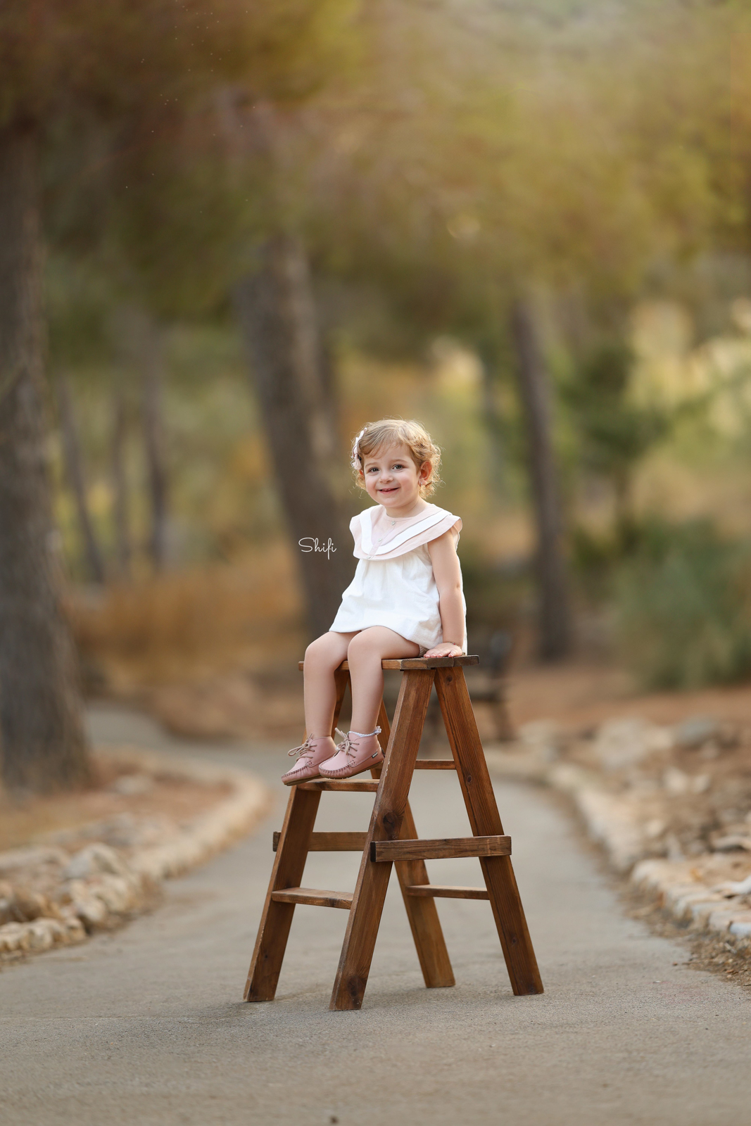 צילום שיפי 0548517049 (26).jpg