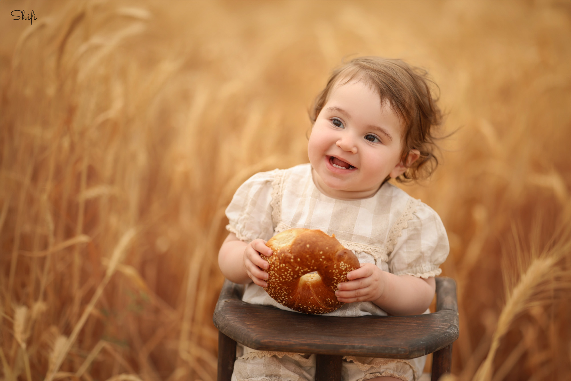 צילום שיפי 0548517049 (27).jpg