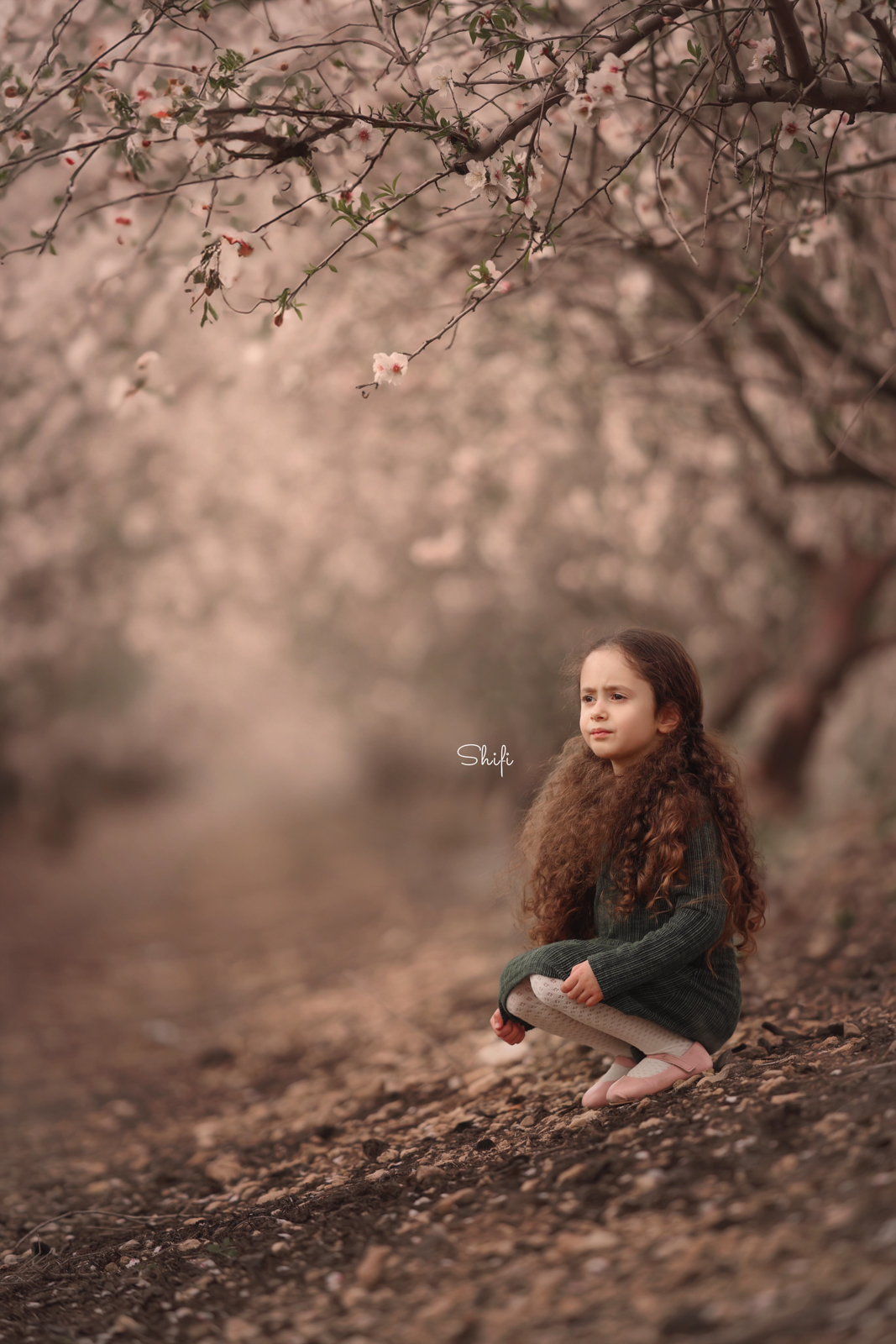 צילום שיפי 0548517049 (28).jpg