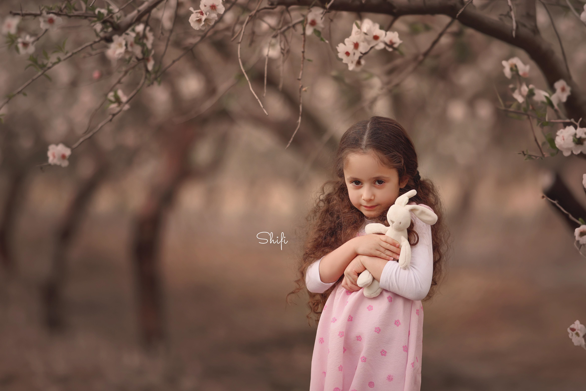 צילום שיפי 0548517049 (29).jpg