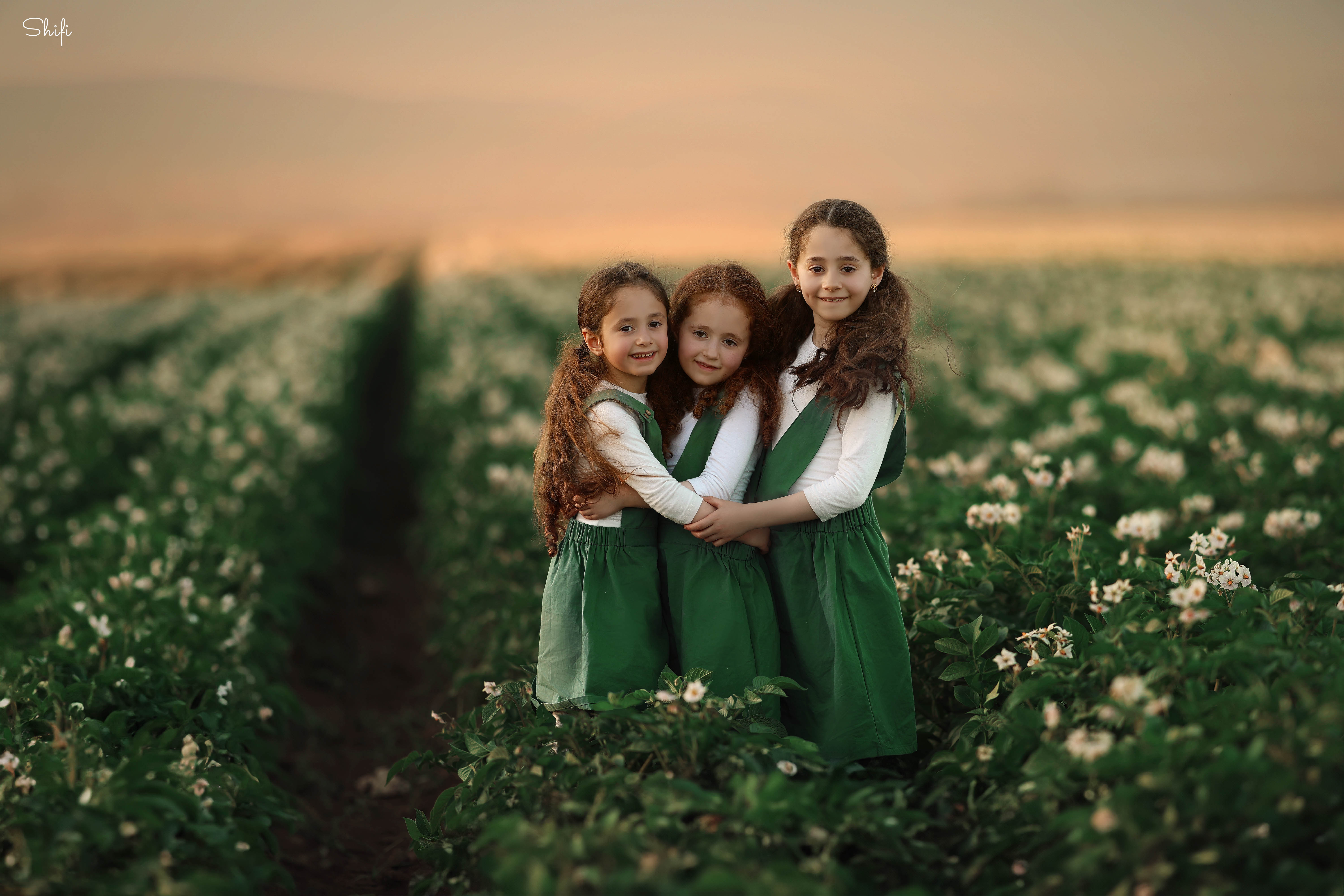 צילום שיפי 0548517049 (3).jpg