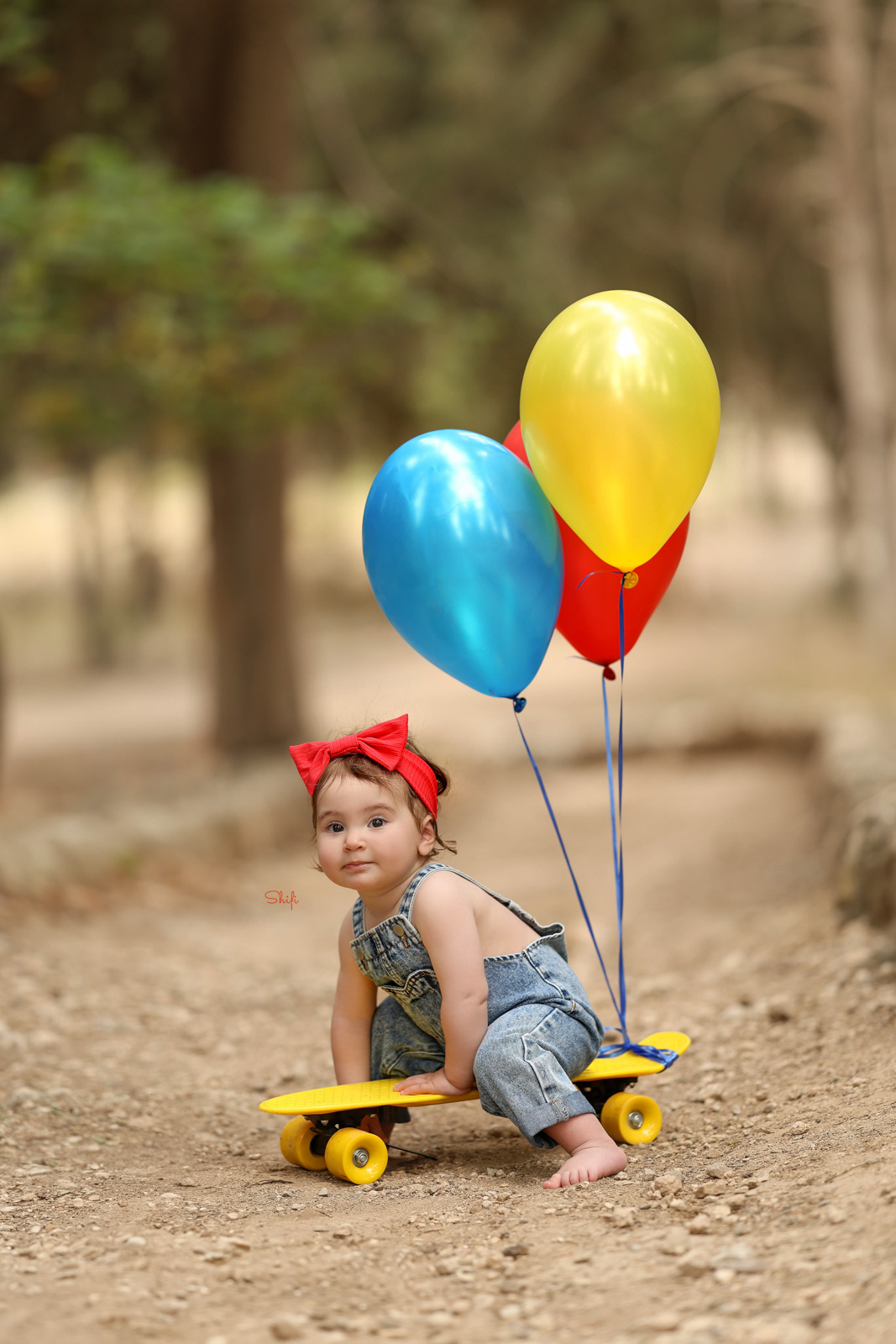 צילום שיפי 0548517049 (3).jpg