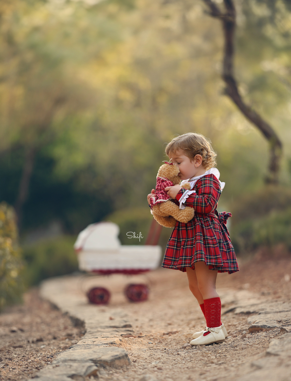 צילום שיפי 0548517049 (3).jpg