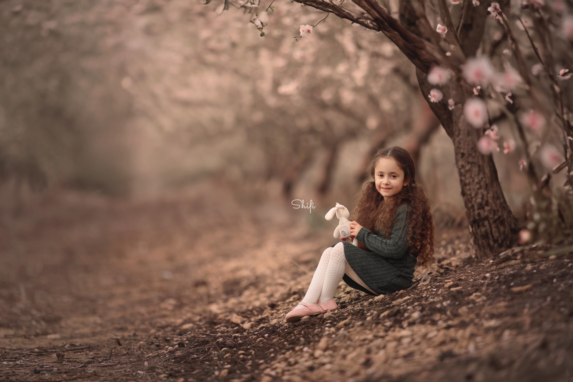 צילום שיפי 0548517049 (31).jpg