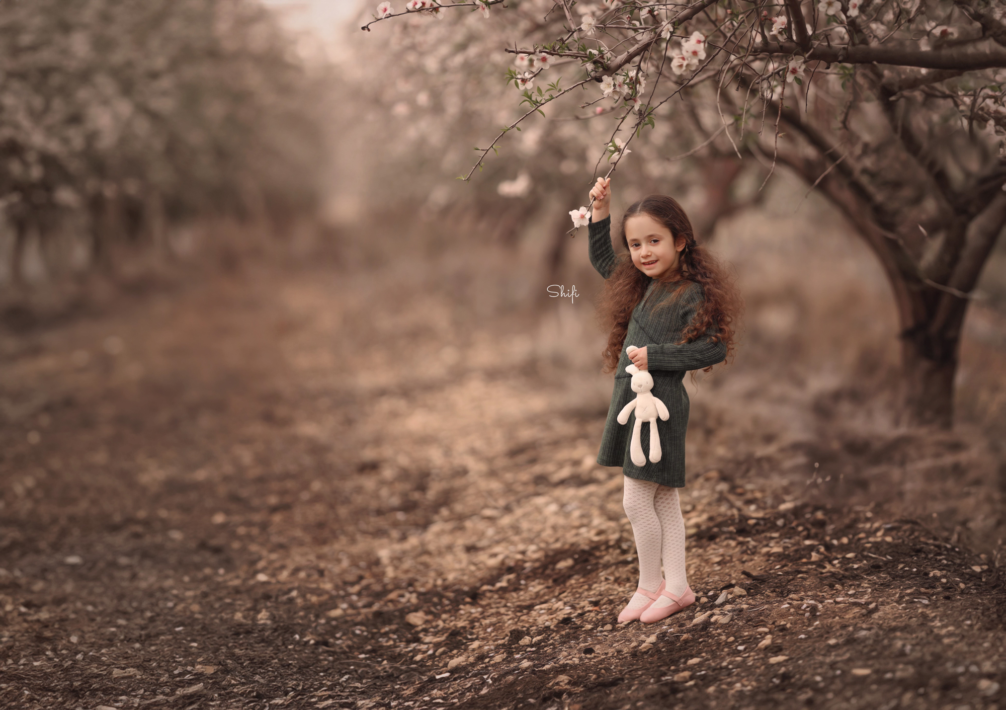 צילום שיפי 0548517049 (32).jpg