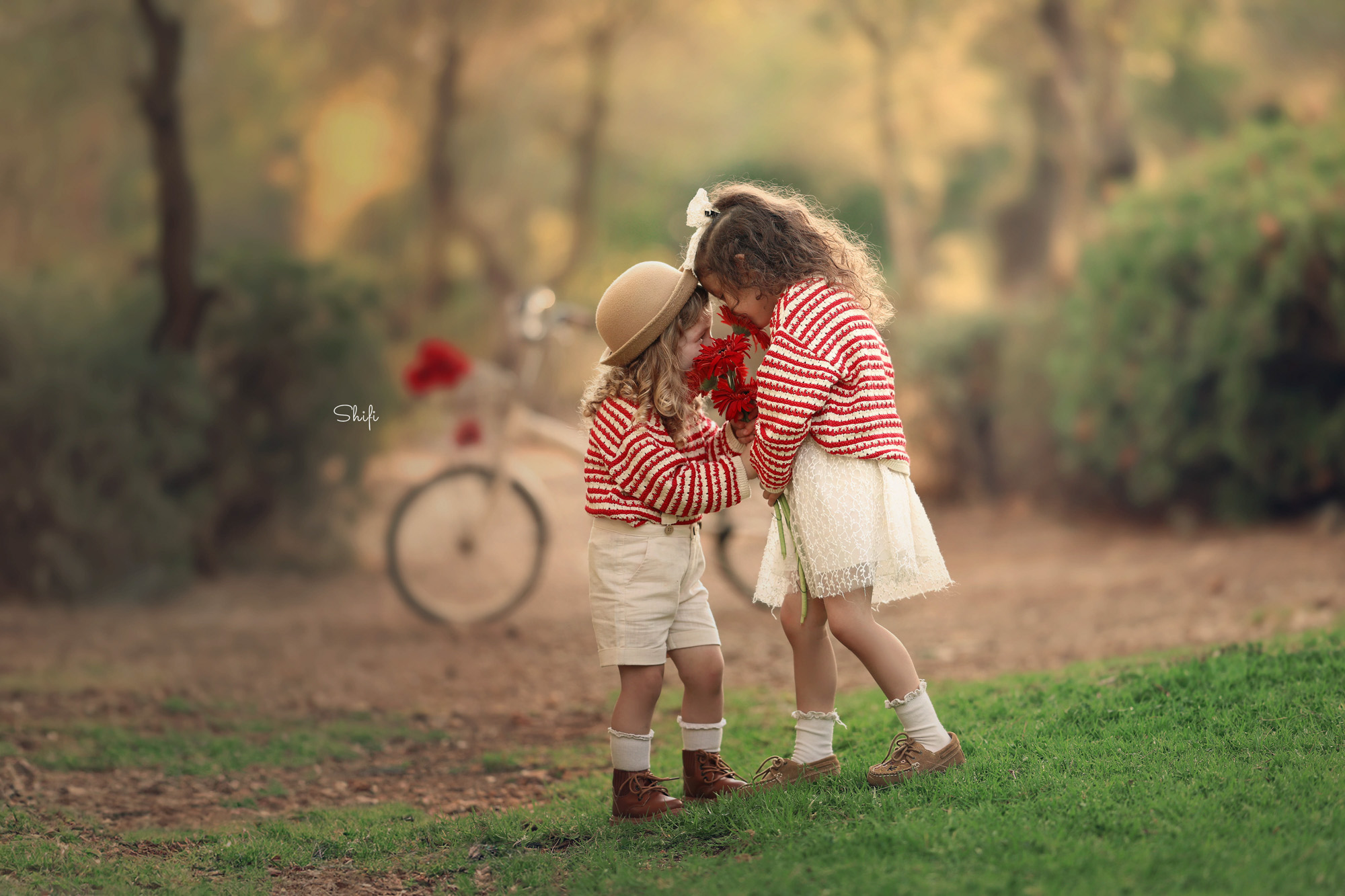 צילום שיפי 0548517049 (33).jpg