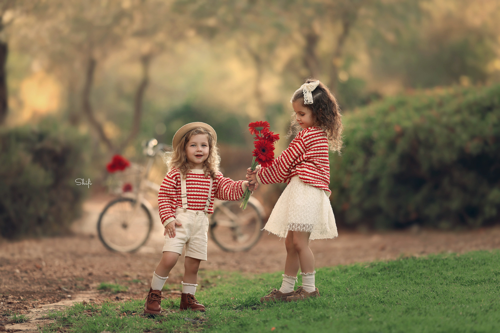 צילום שיפי 0548517049 (34).jpg