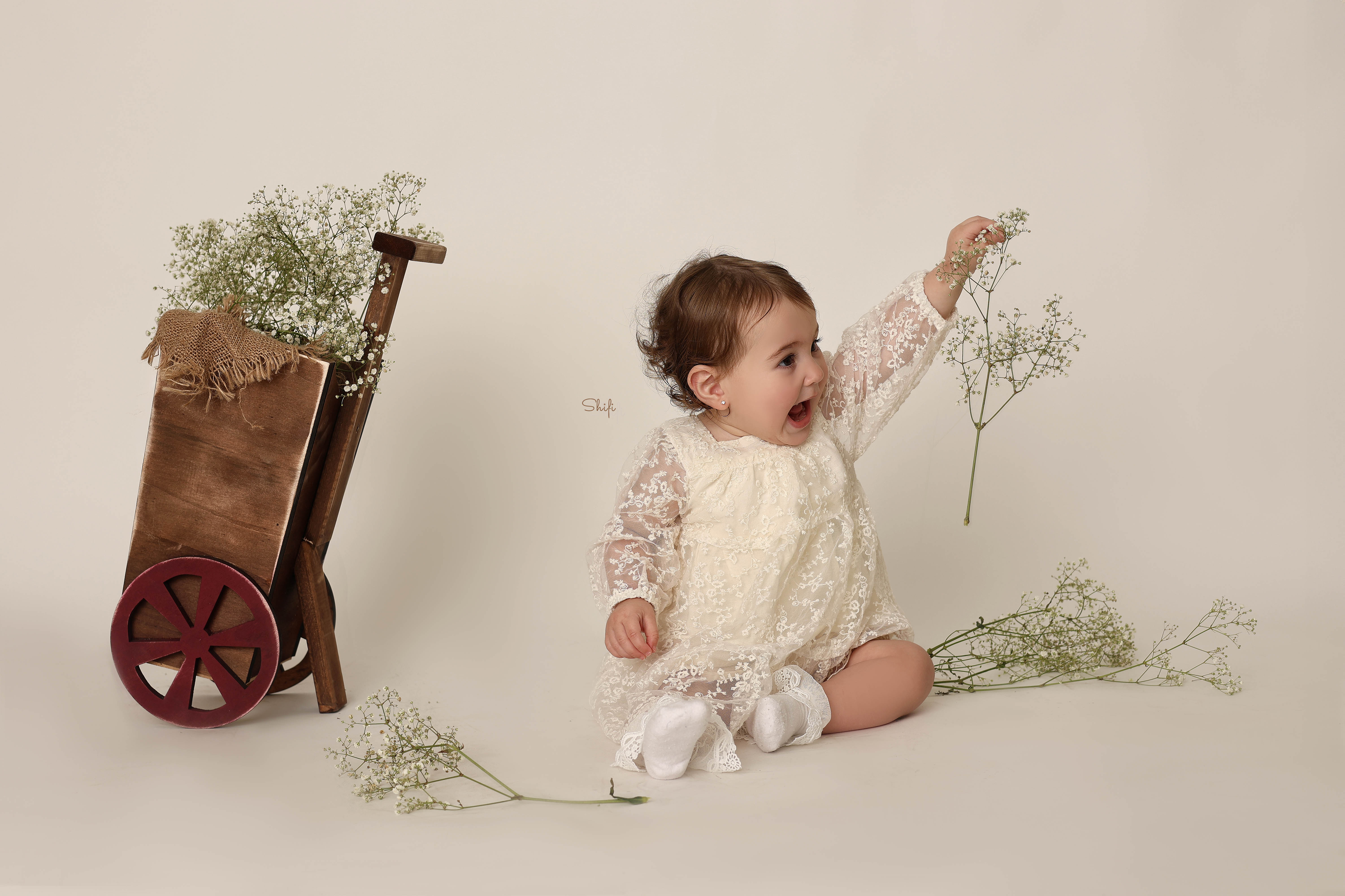 צילום שיפי 0548517049 (36).jpg