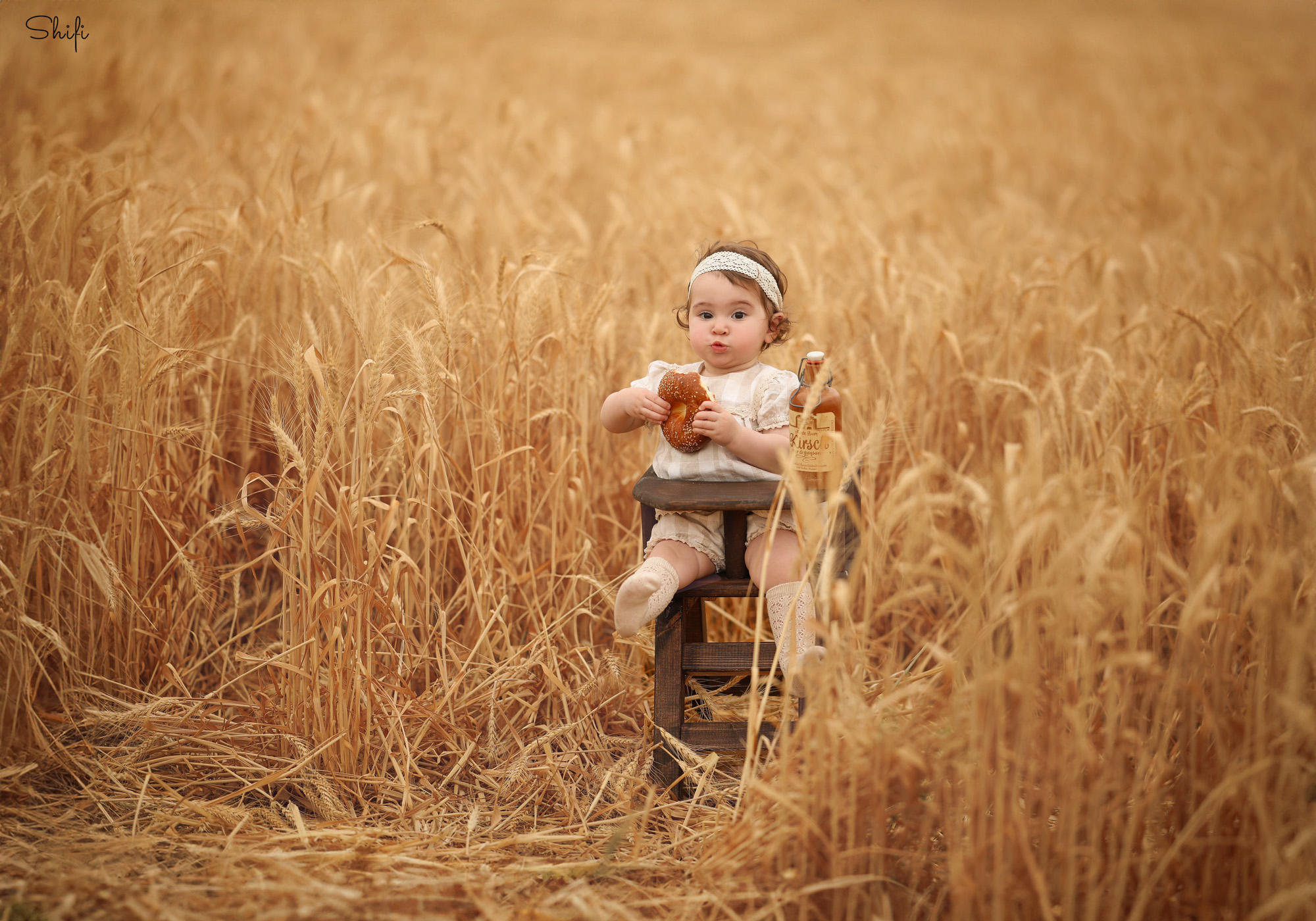 צילום שיפי 0548517049 (37).jpg