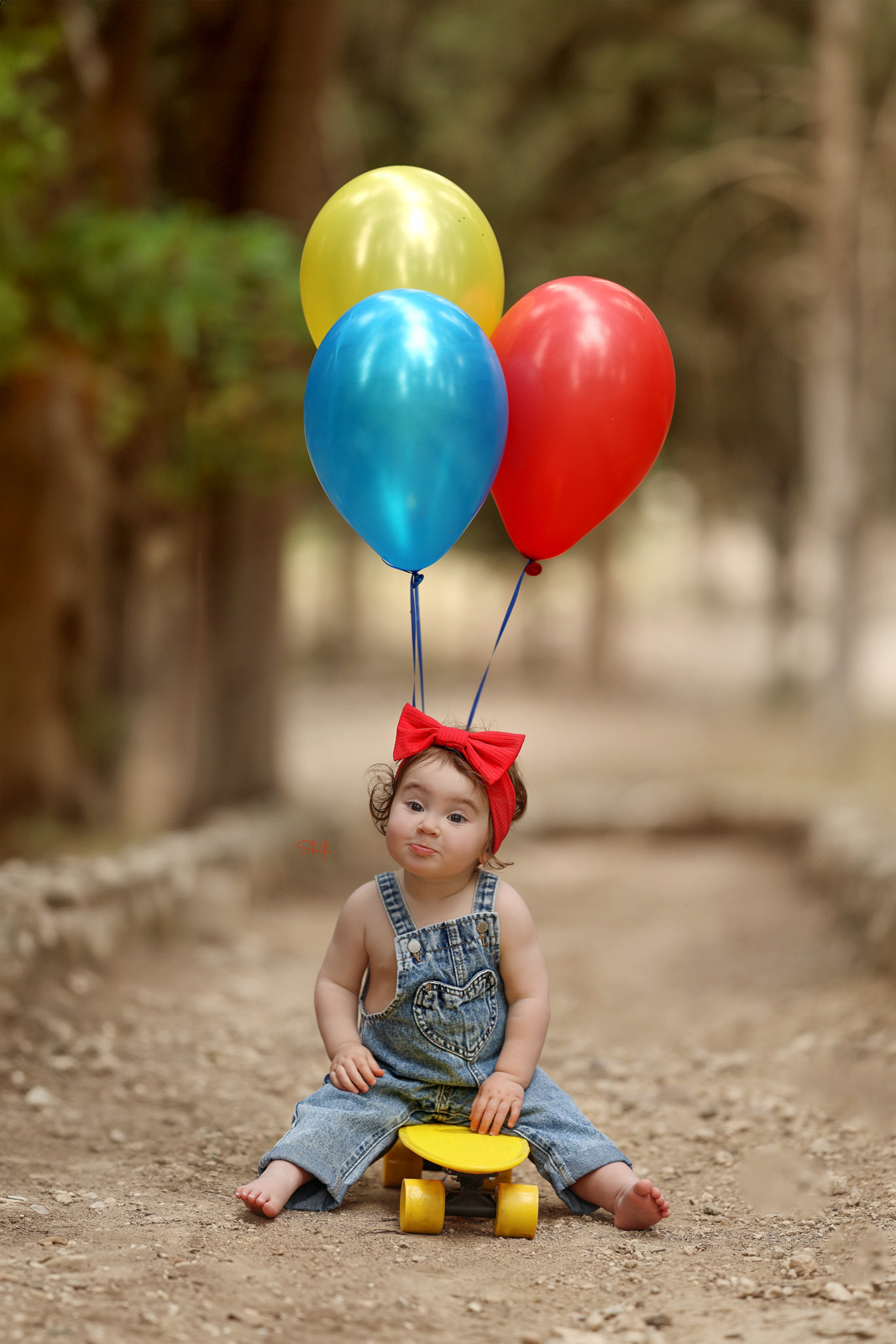 צילום שיפי 0548517049 (39).jpg