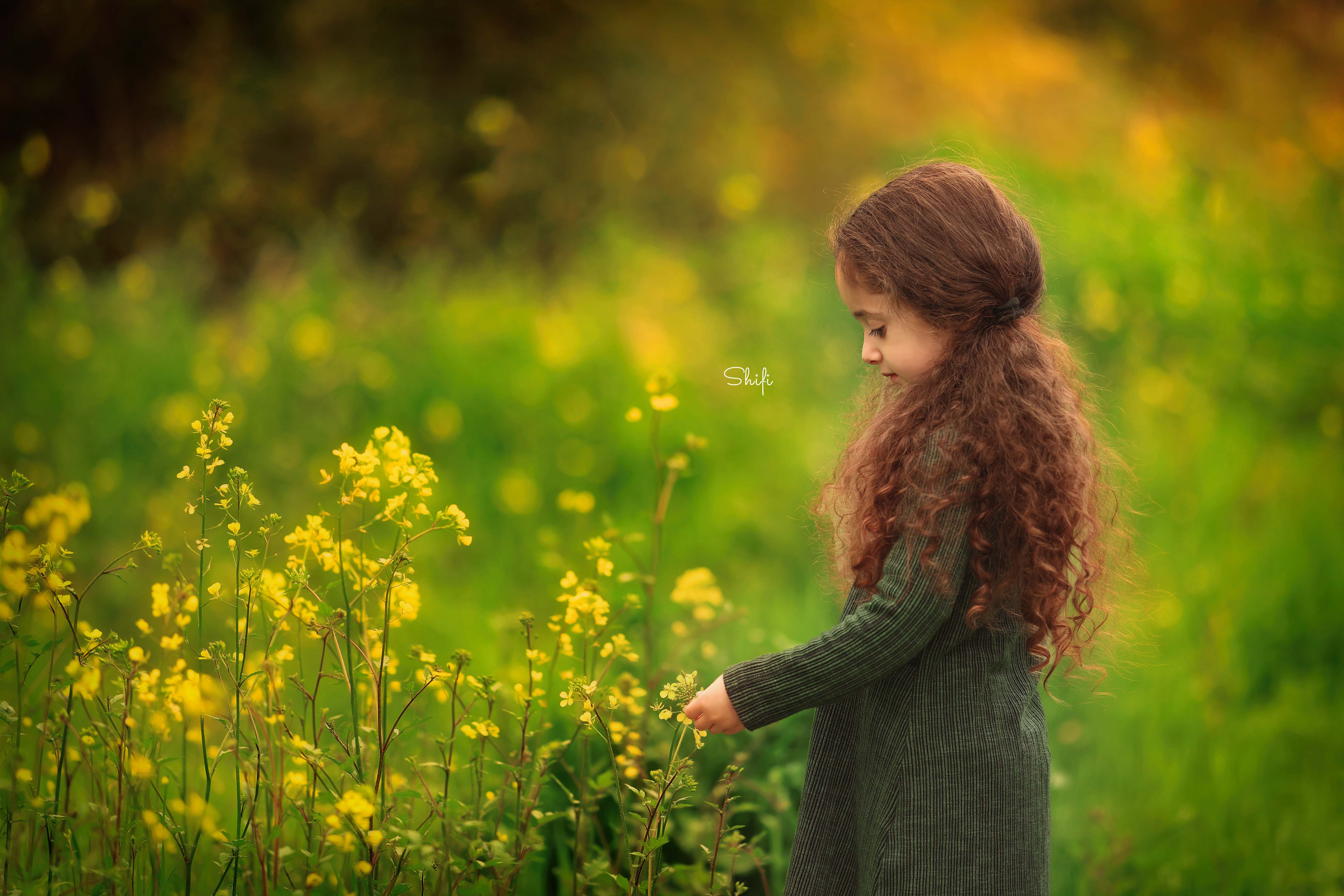 צילום שיפי 0548517049 (4).jpg