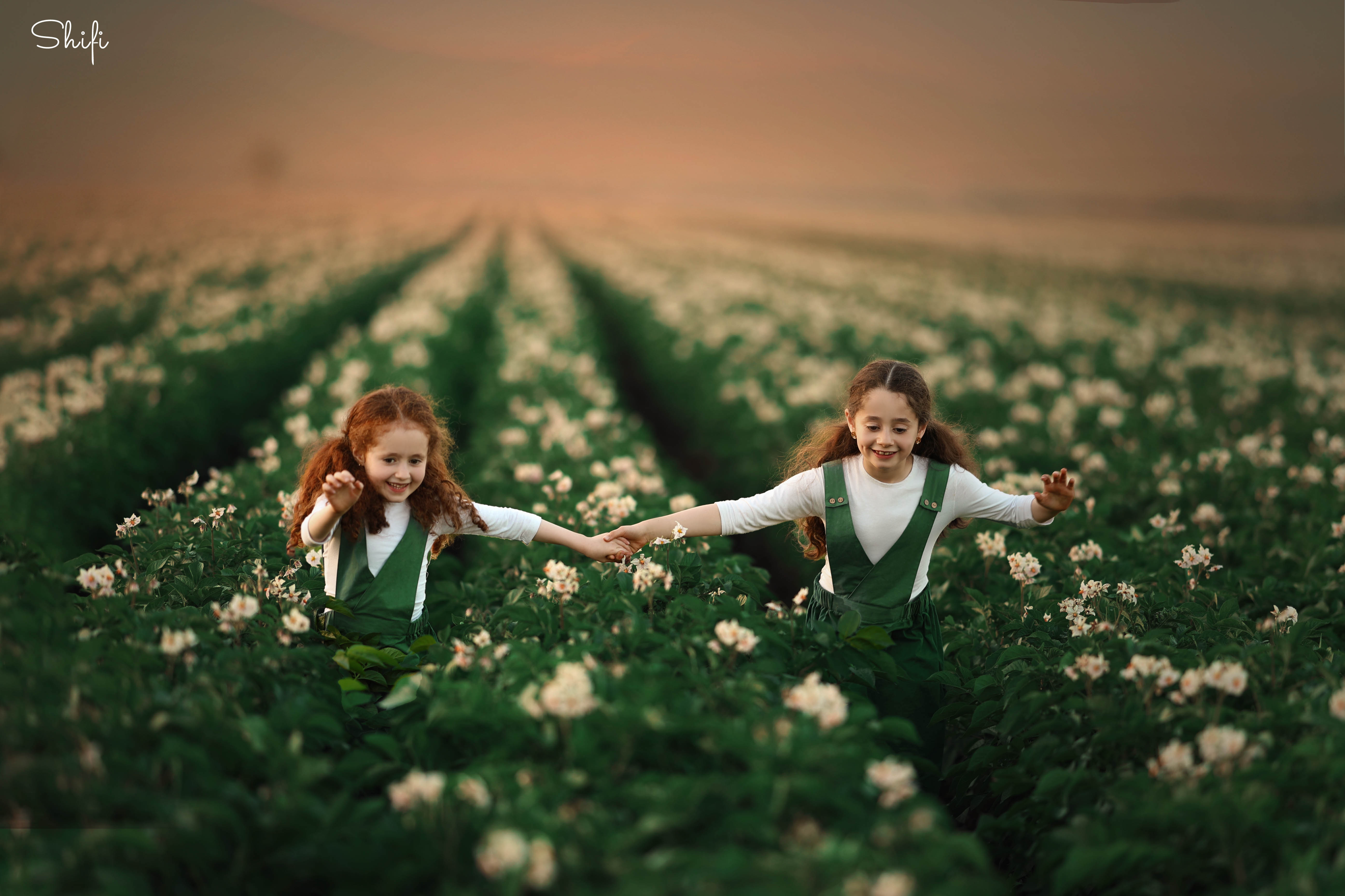 צילום שיפי 0548517049 (4).jpg