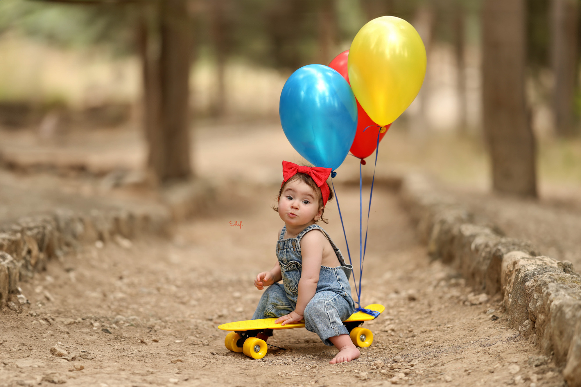 צילום שיפי 0548517049 (4).jpg