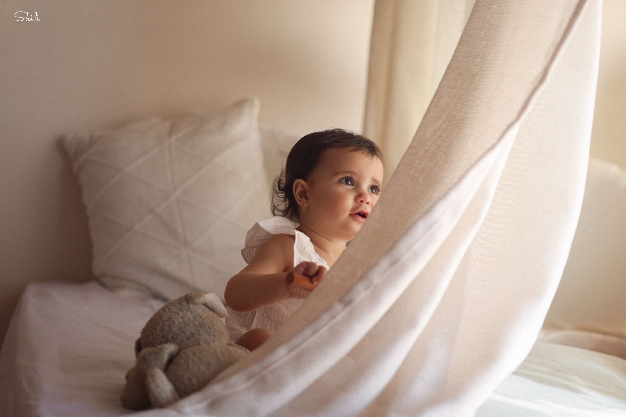 צילום שיפי 0548517049 (4).jpg