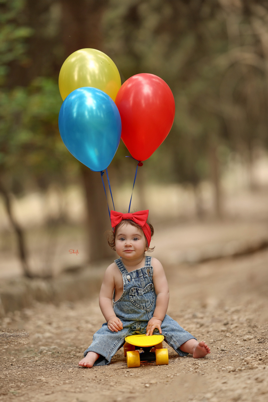 צילום שיפי 0548517049 (40).jpg