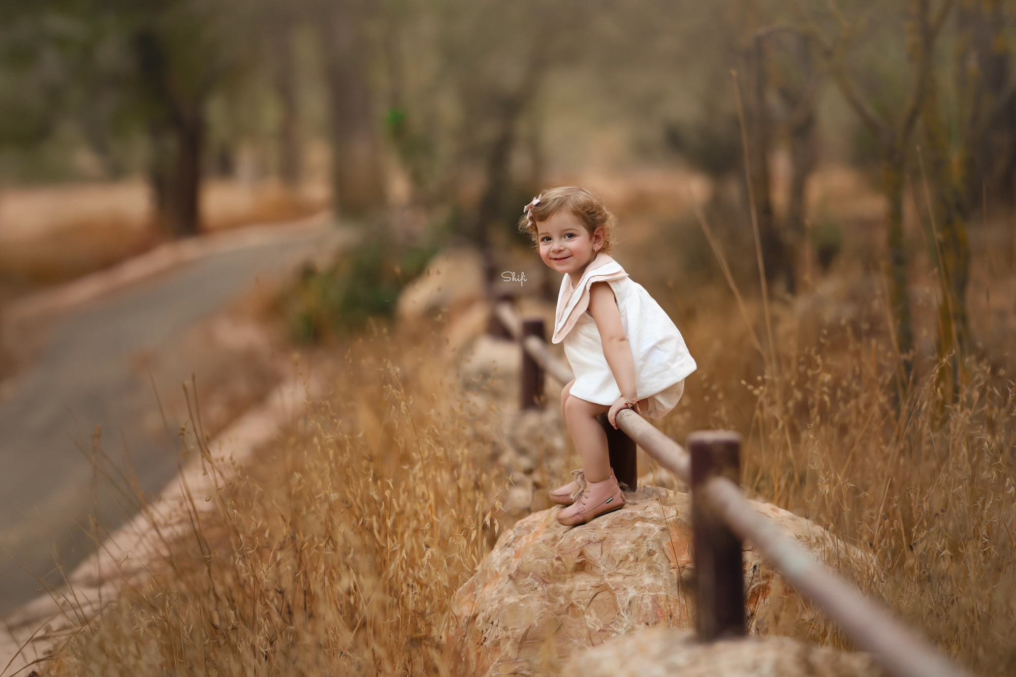 צילום שיפי 0548517049 (41).jpg