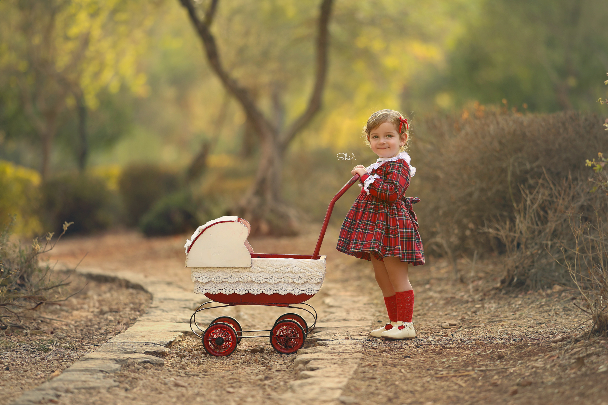 צילום שיפי 0548517049 (42).jpg