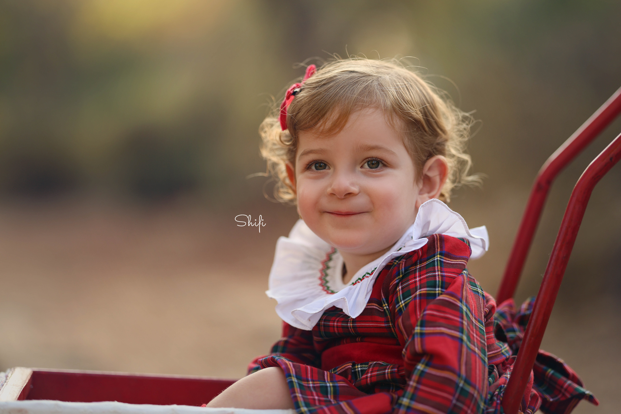 צילום שיפי 0548517049 (44).jpg