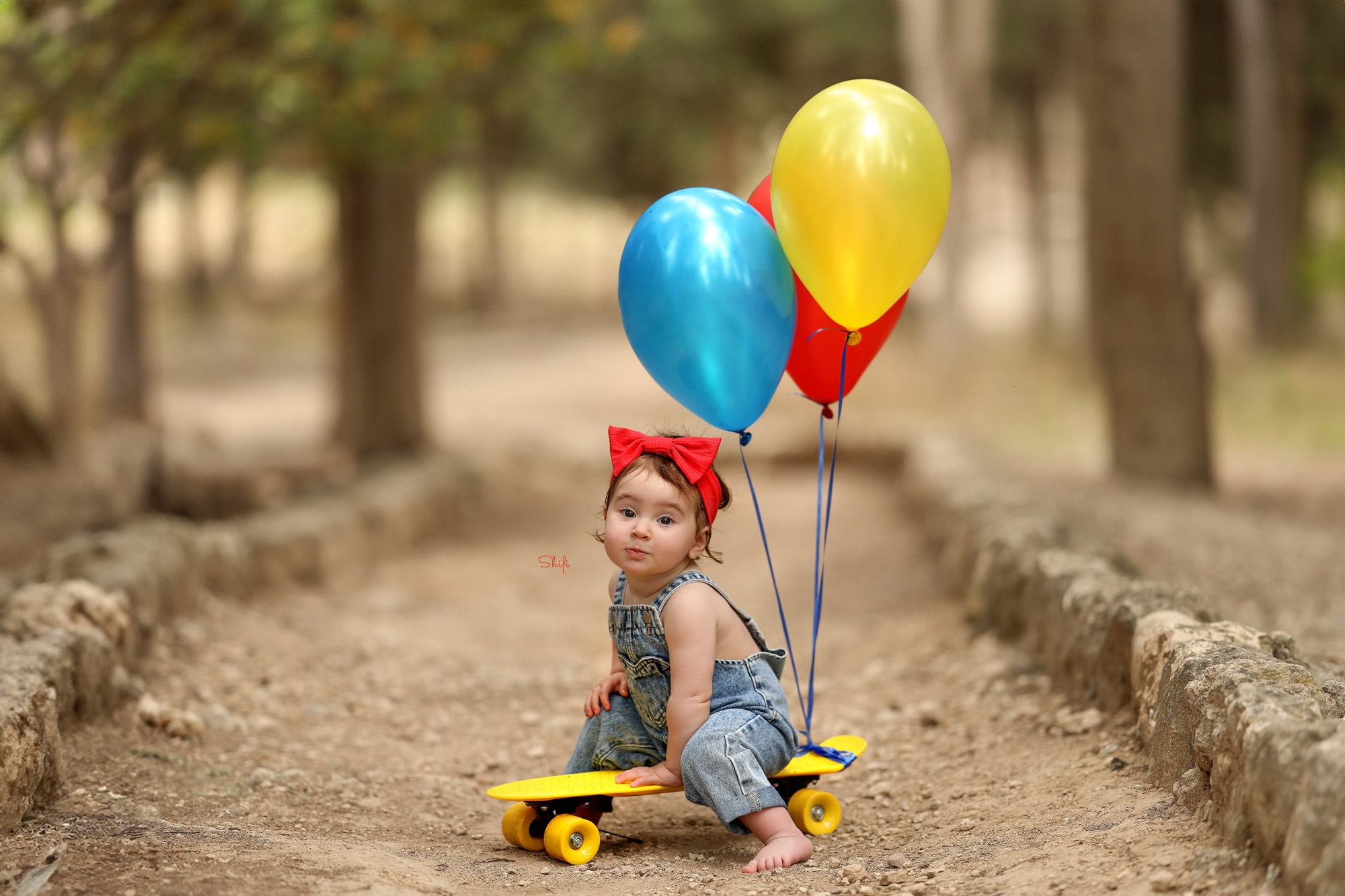 צילום שיפי 0548517049 (5).jpg