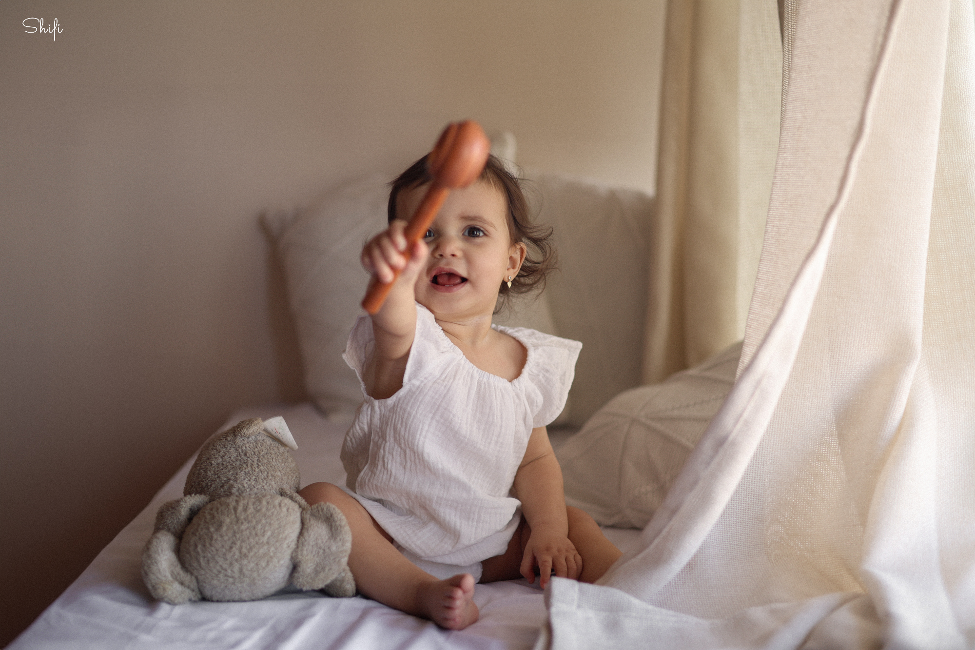 צילום שיפי 0548517049 (5).jpg