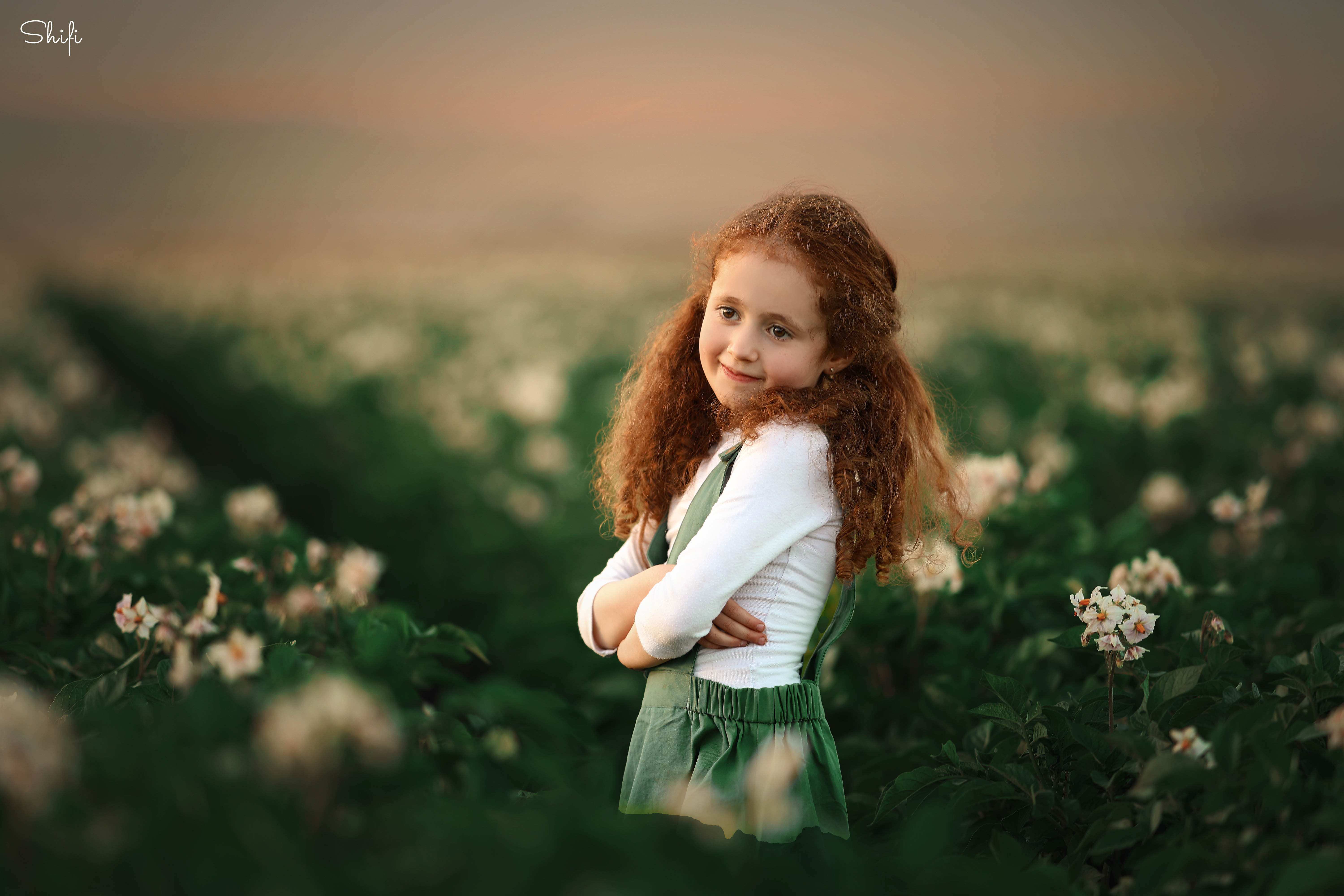 צילום שיפי 0548517049 (6).jpg