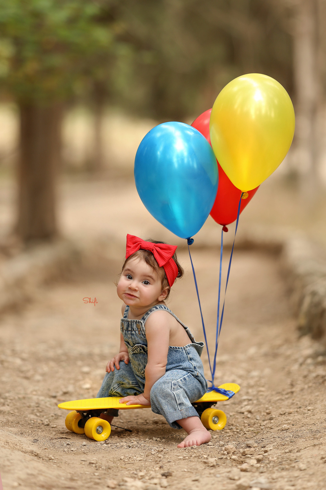 צילום שיפי 0548517049 (6).jpg