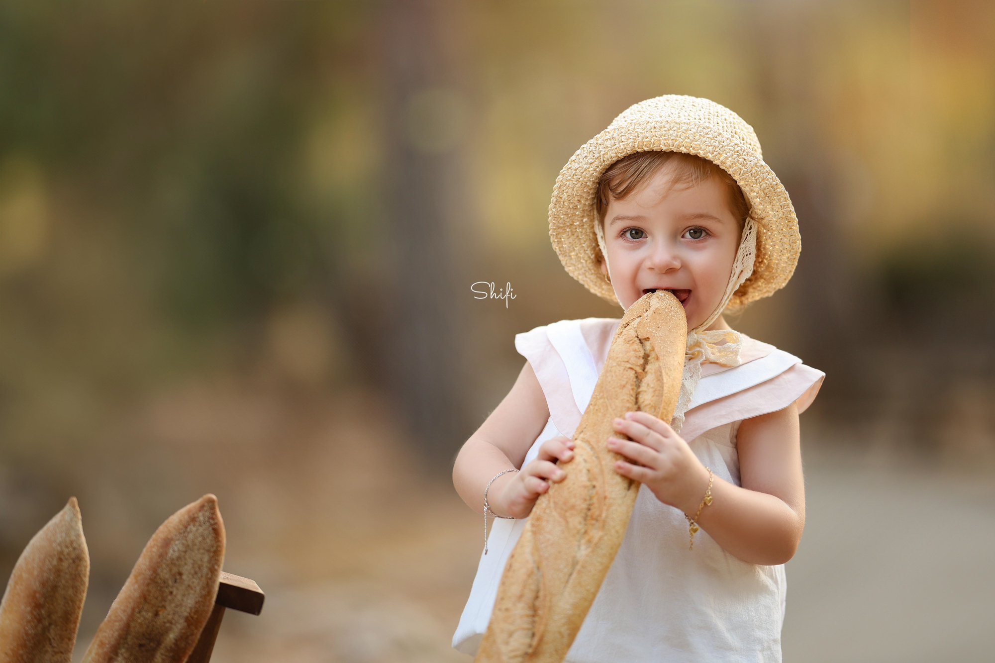 צילום שיפי 0548517049 (7).jpg