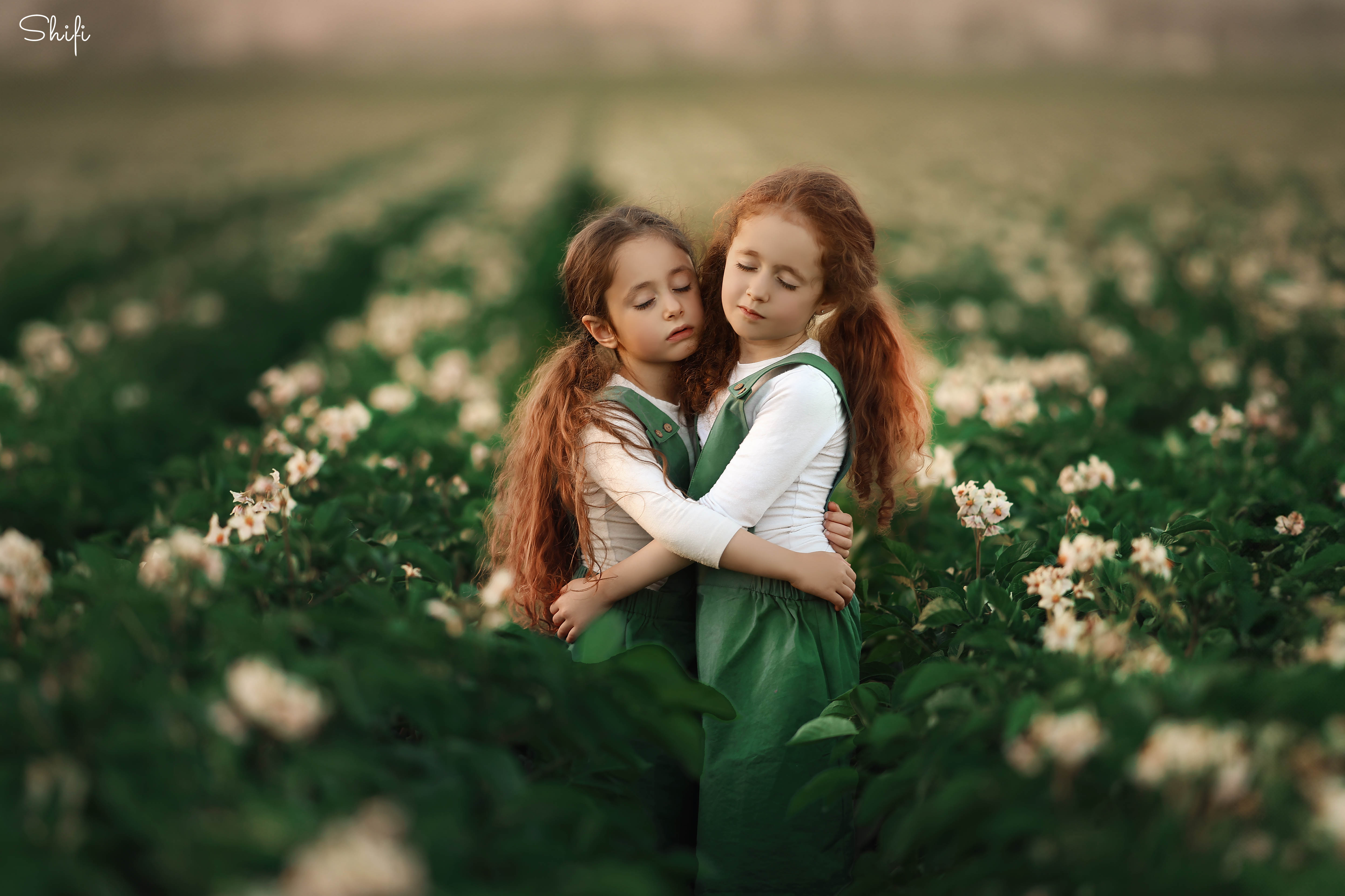 צילום שיפי 0548517049 (8).jpg