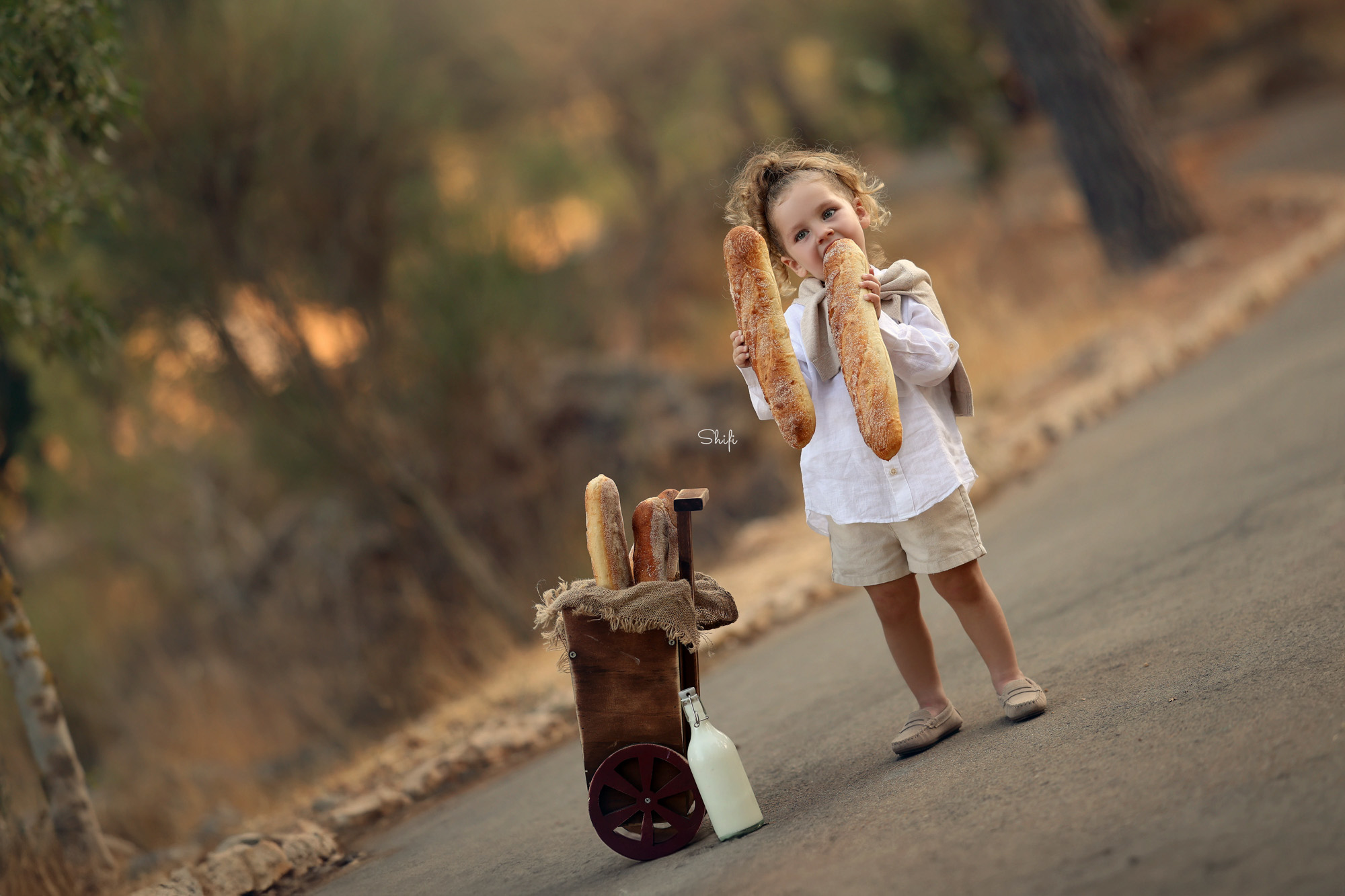 צילום שיפי 0548517049 (9).jpg