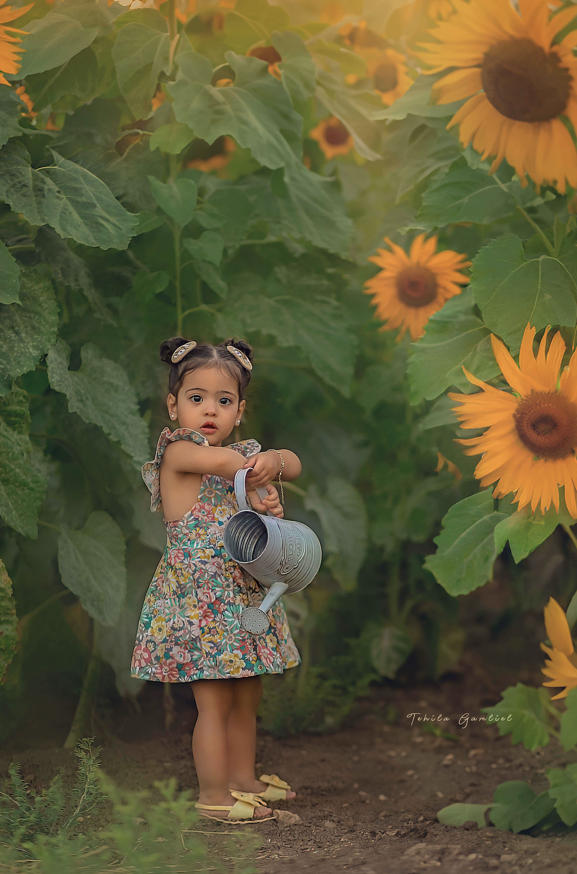 צילום : תהילה גמליאל 055-678-3301