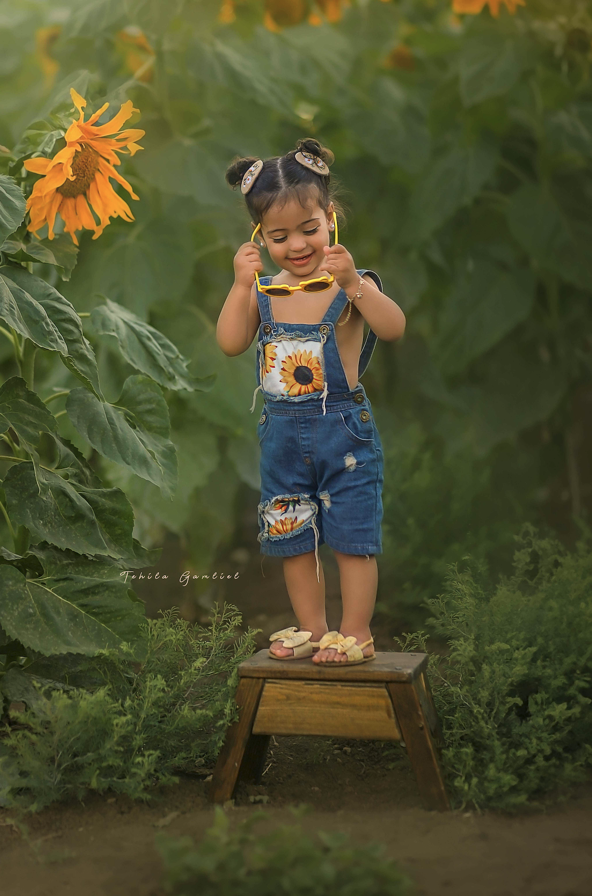 צילום : תהילה גמליאל 055-678-3301