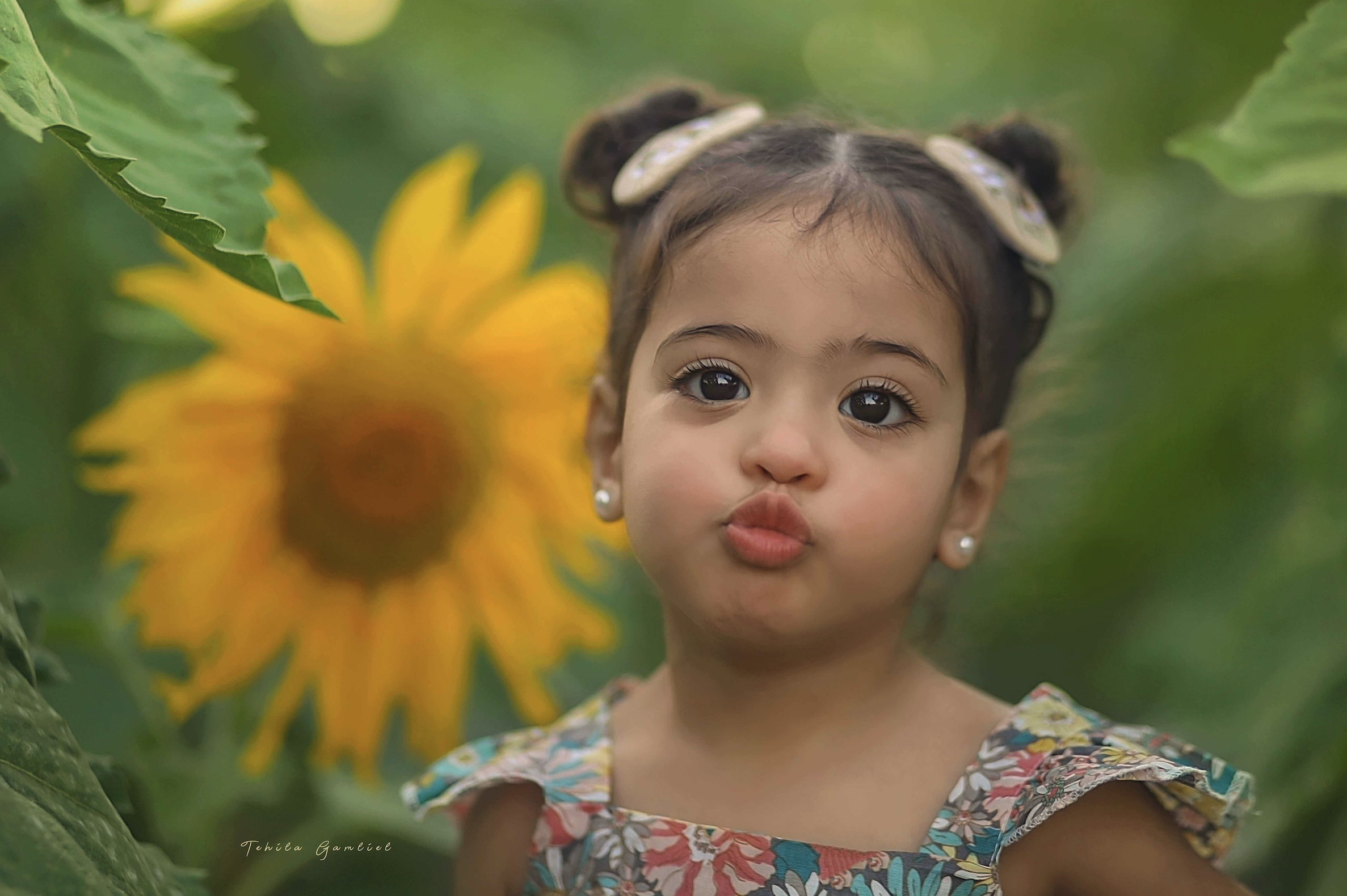 צילום : תהילה גמליאל 055-678-3301