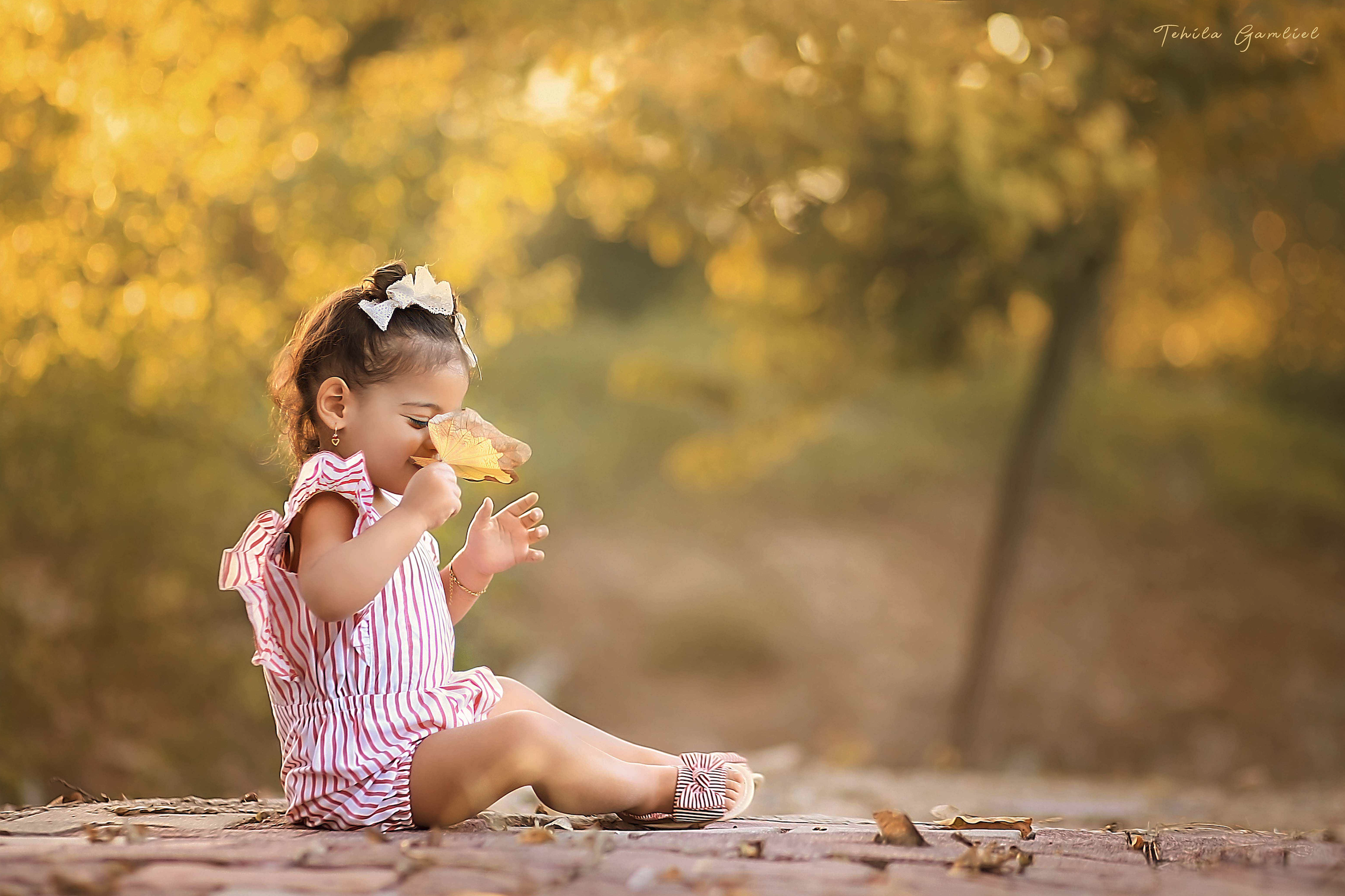 צילום : תהילה גמליאל 055-678-3301