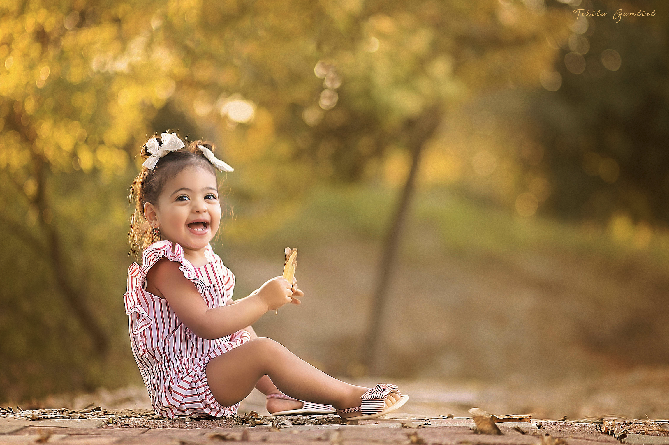 צילום : תהילה גמליאל 055-678-3301