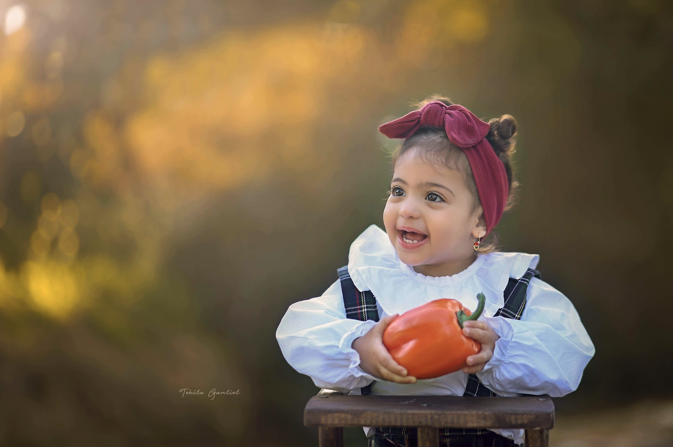 צילום : תהילה גמליאל 055-678-3301