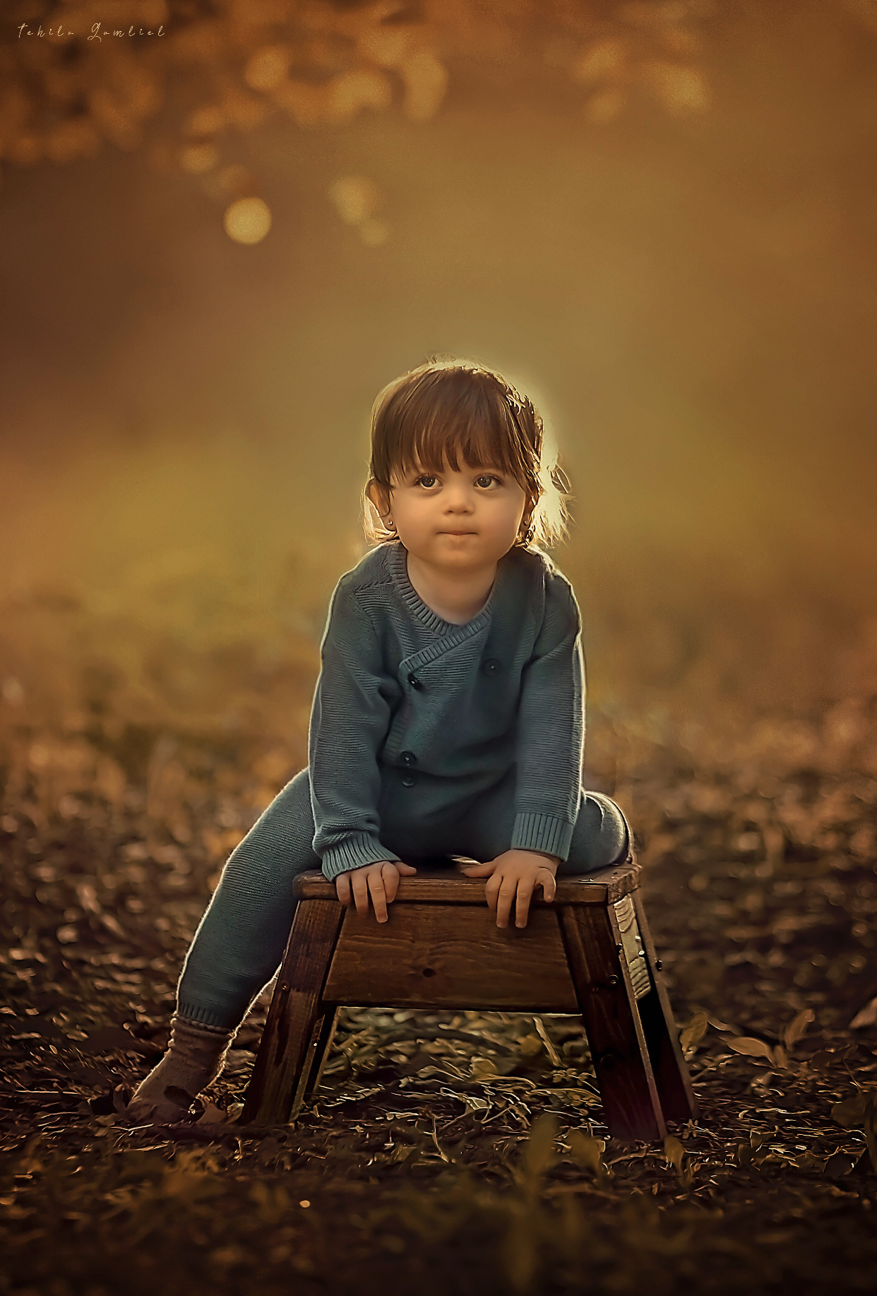 צילום : תהילה גמליאל , 0556783301