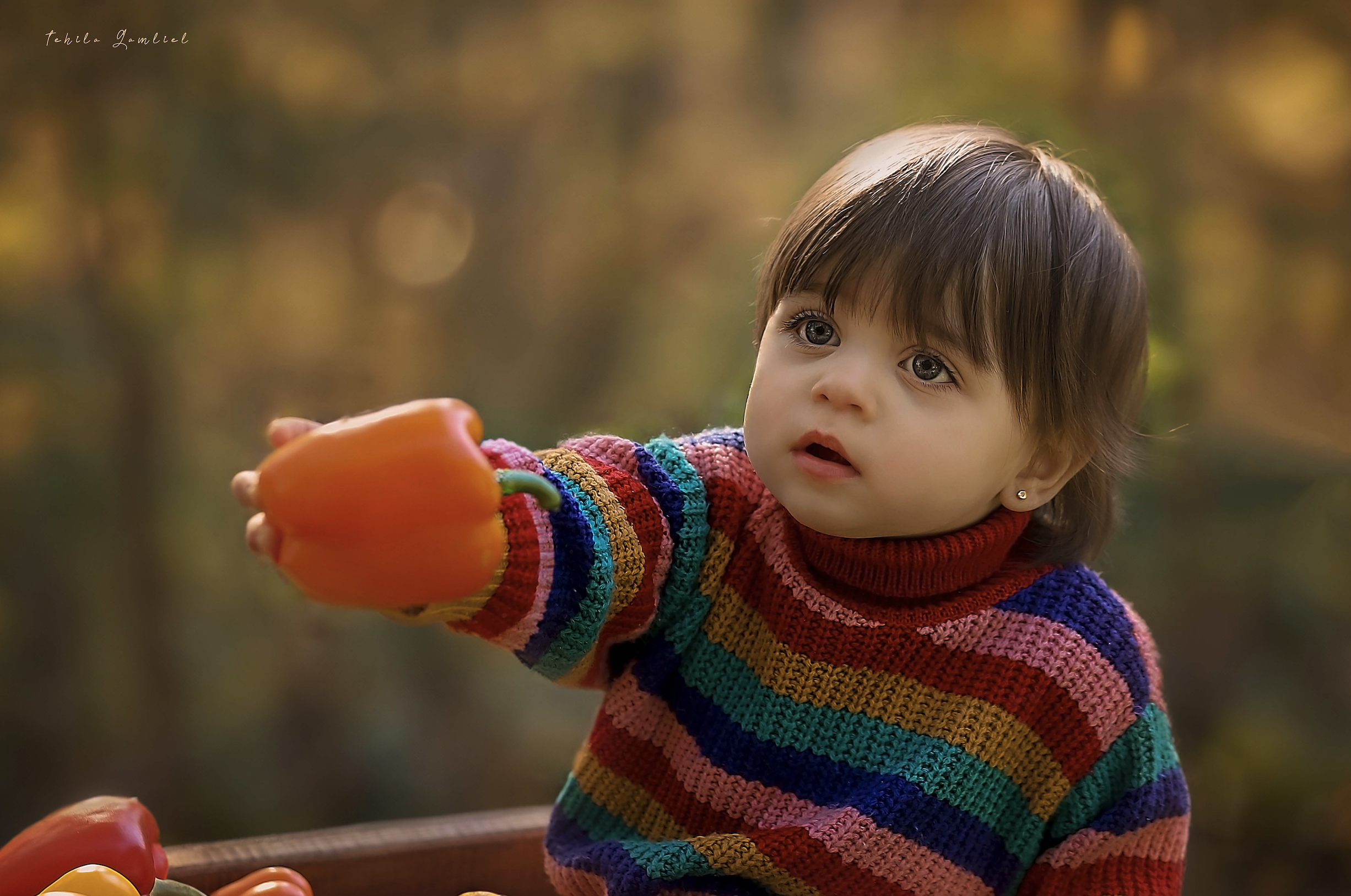 צילום : תהילה גמליאל , 0556783301