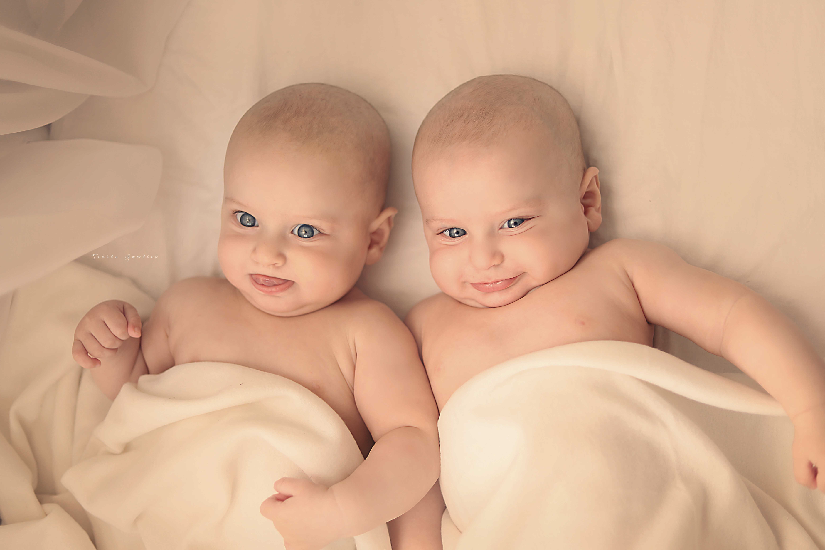 צילום : תהילה גמליאל 0556783301