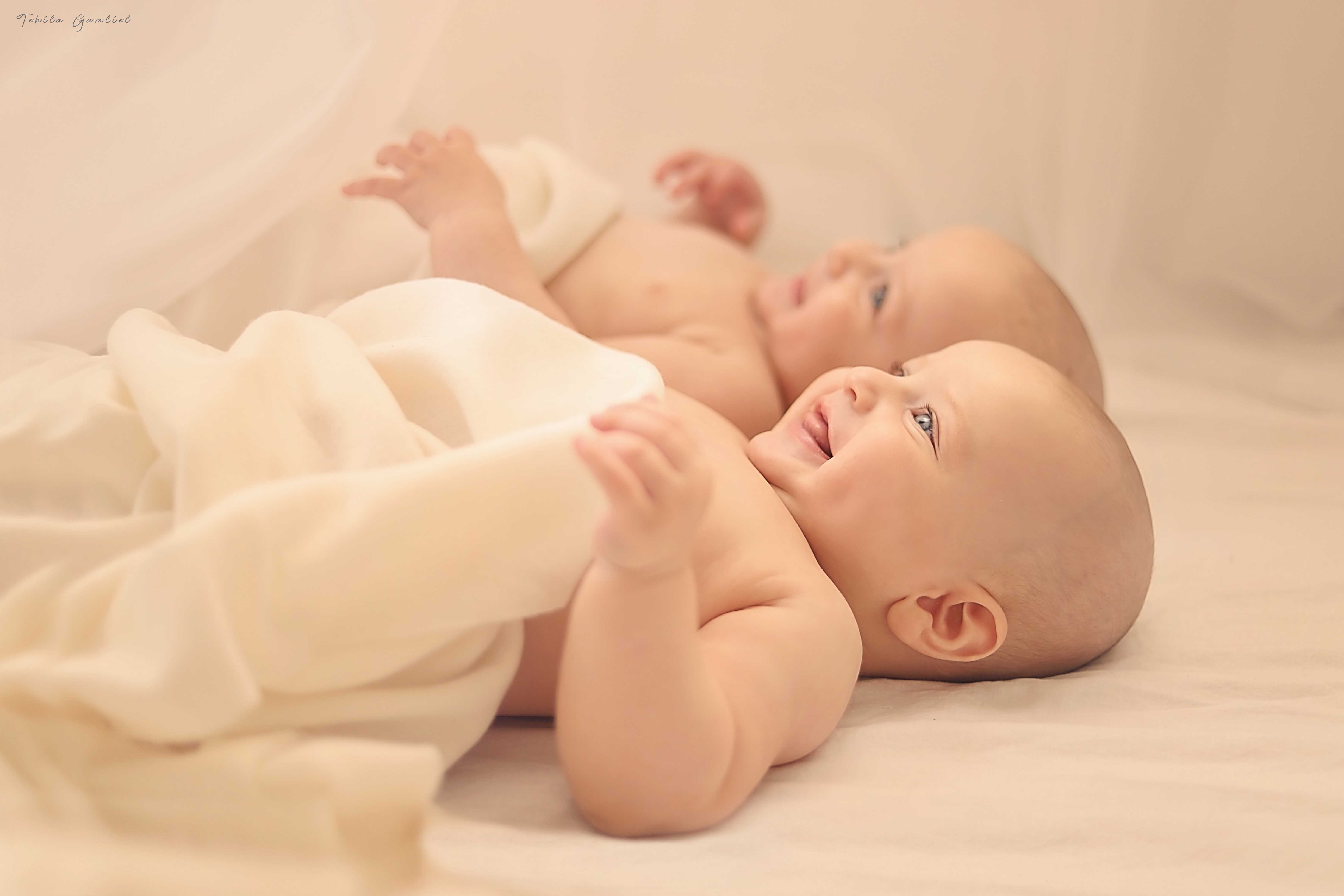 צילום : תהילה גמליאל 0556783301