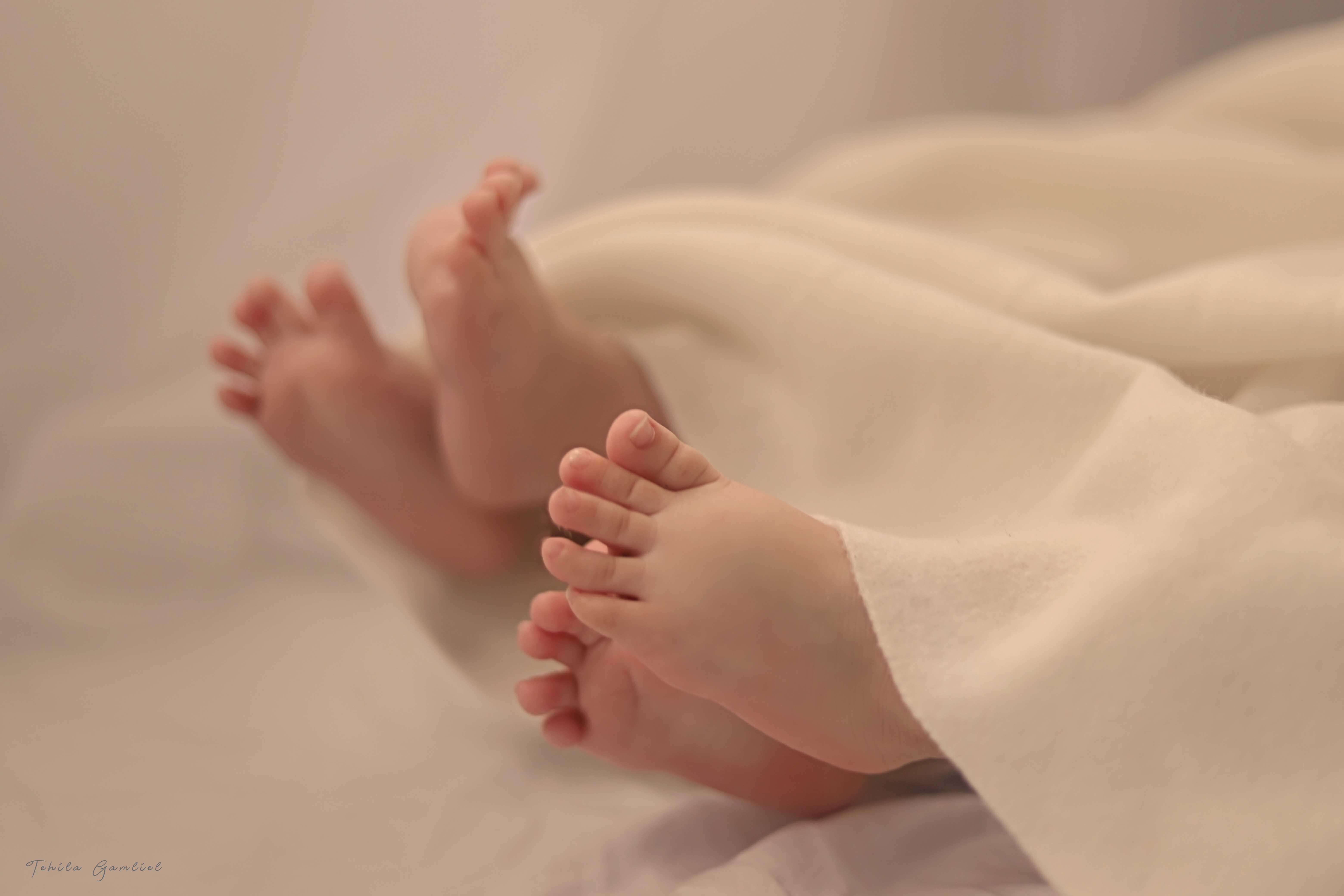 צילום : תהילה גמליאל 0556783301