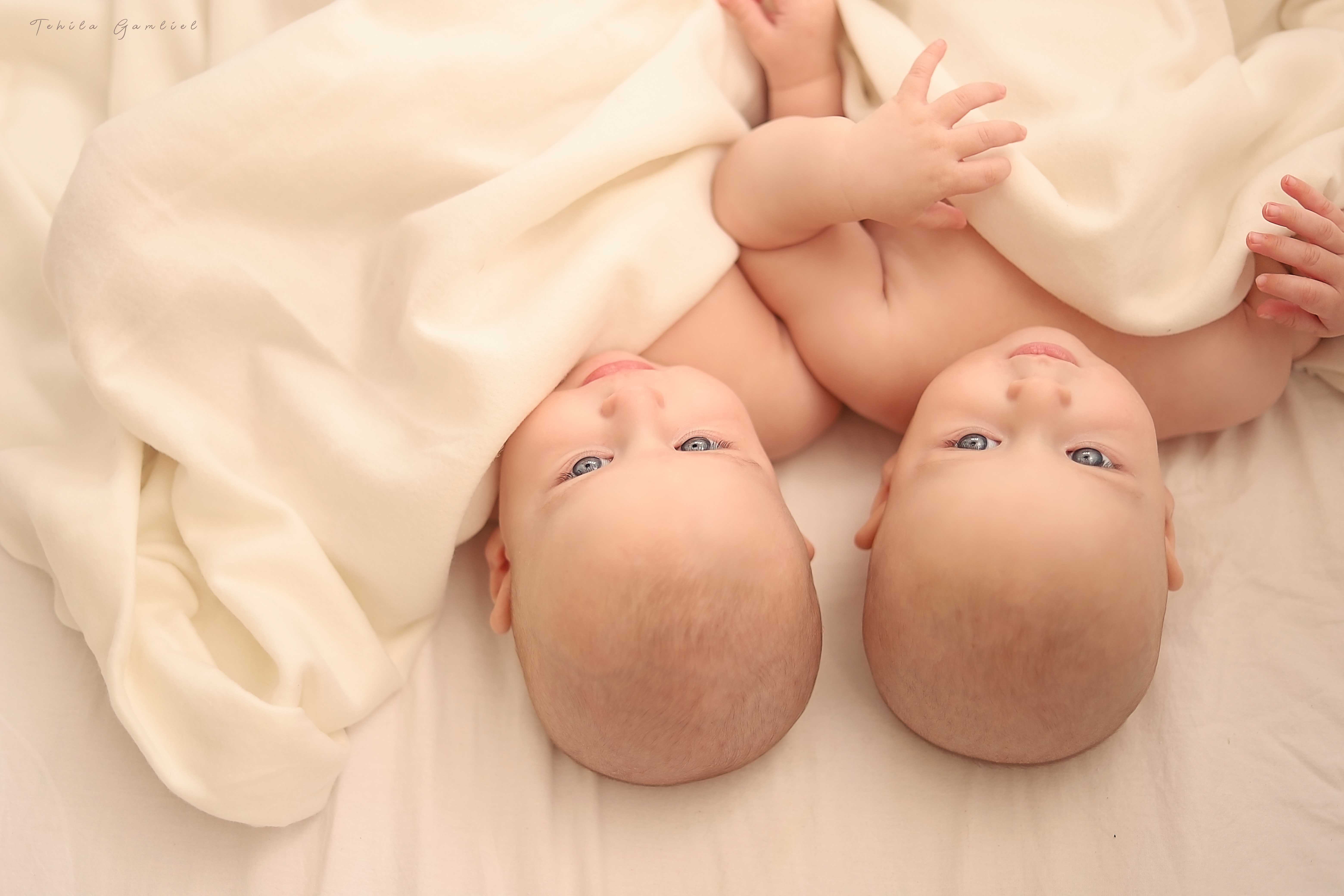 צילום : תהילה גמליאל 0556783301